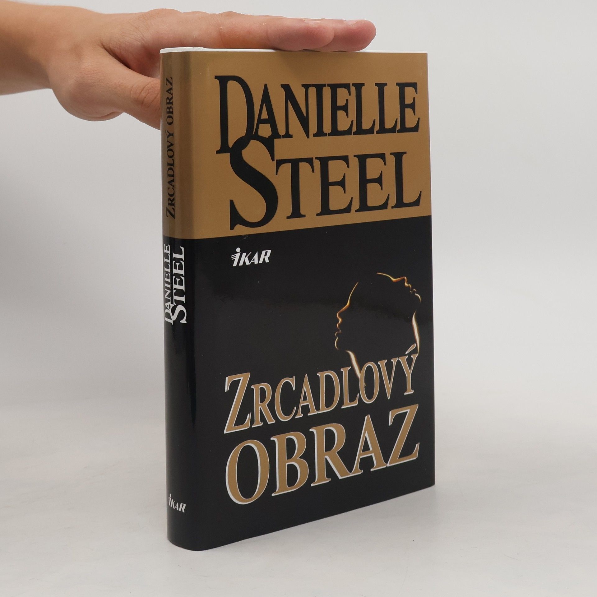 Danielle Steel Zrcadlový obraz