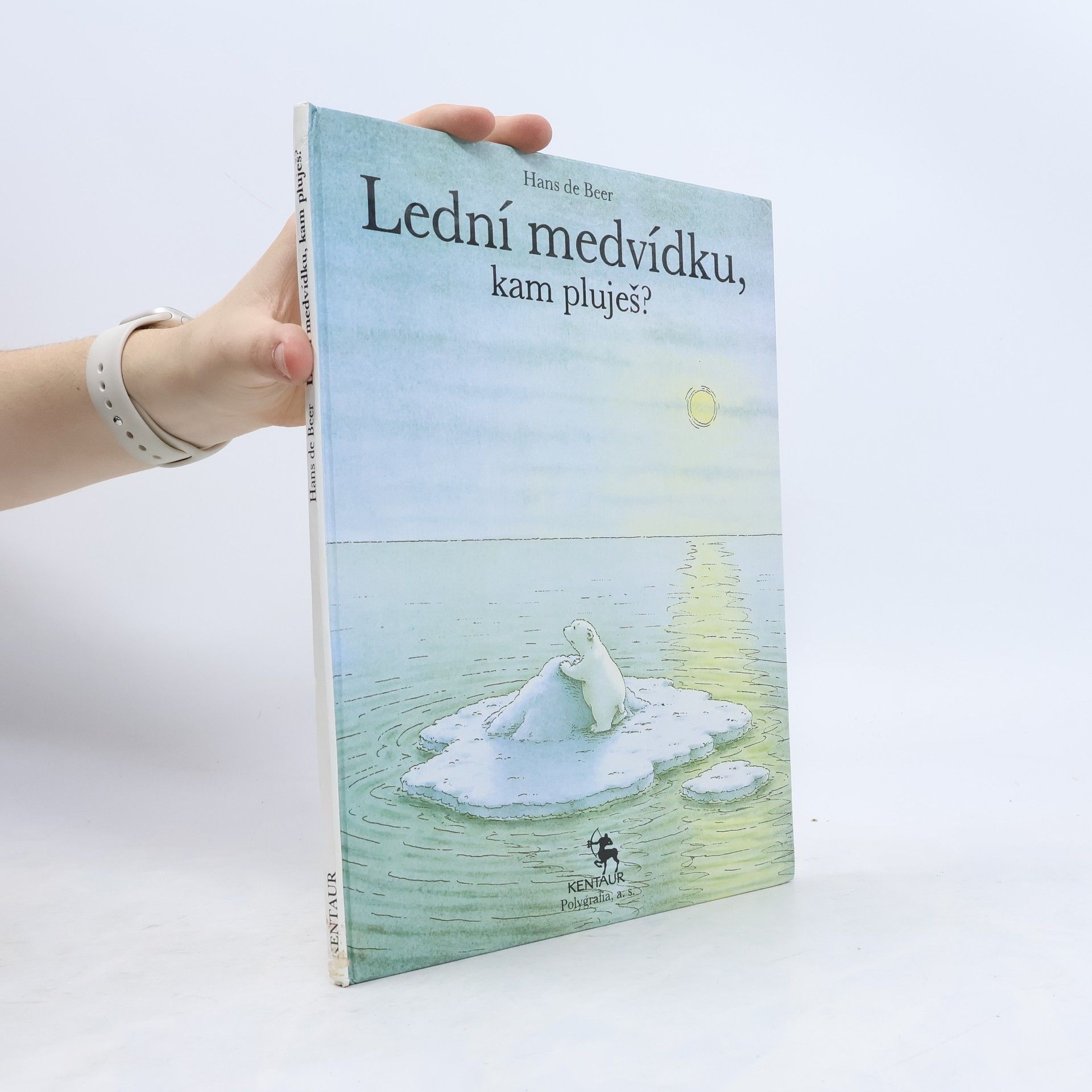 Hans de Beer Lední medvídku, kam pluješ?