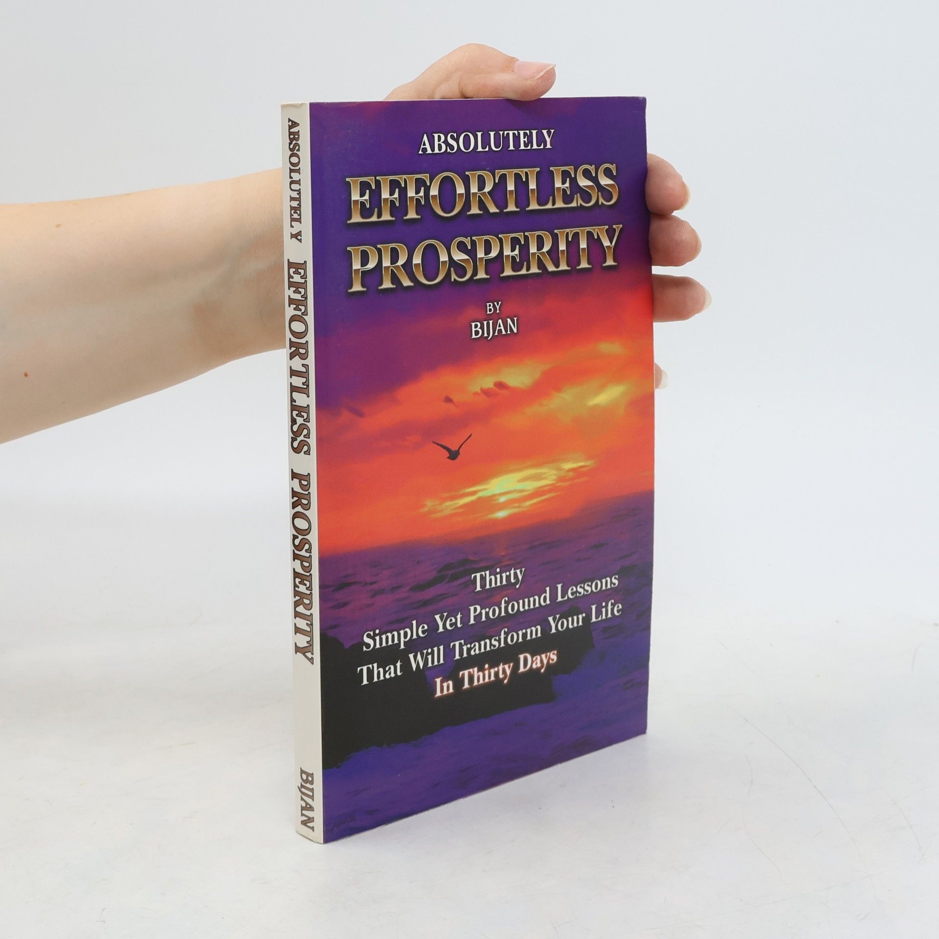 Bijan Absolutely Effortless Prosperity - Book I
