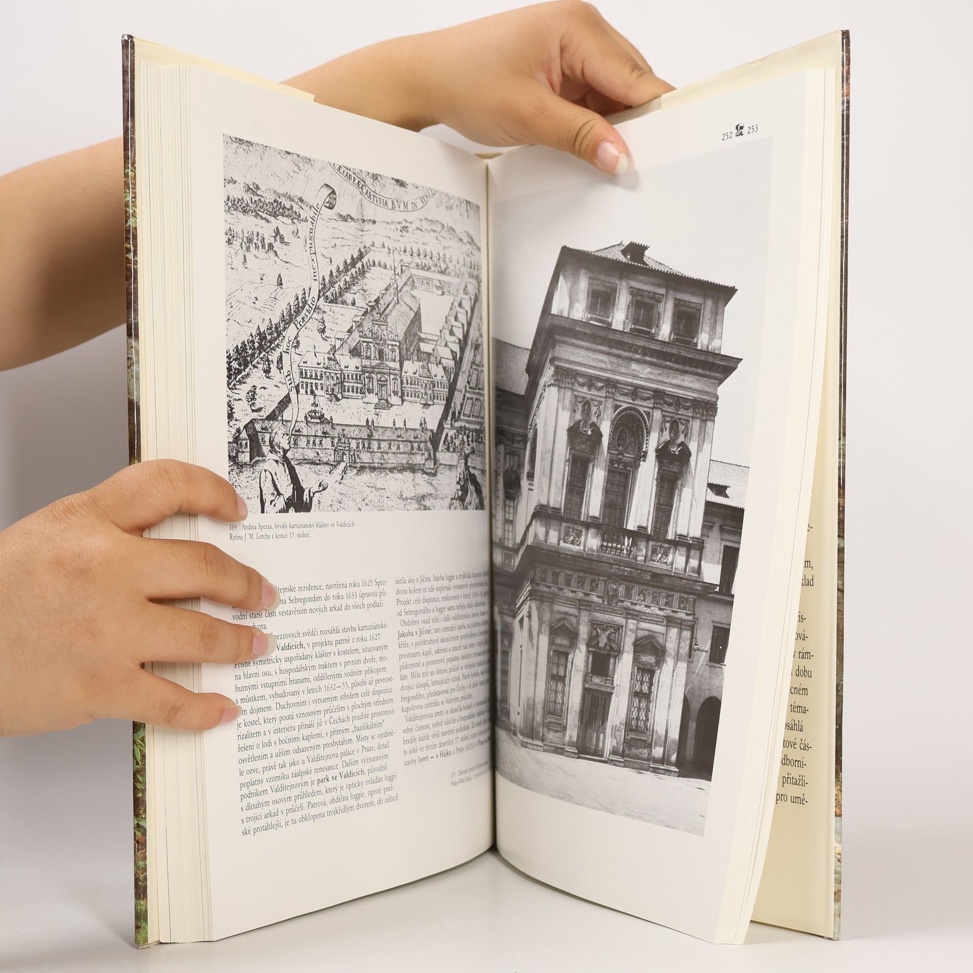 Autores varios Dějiny českého výtvarného umění II/1