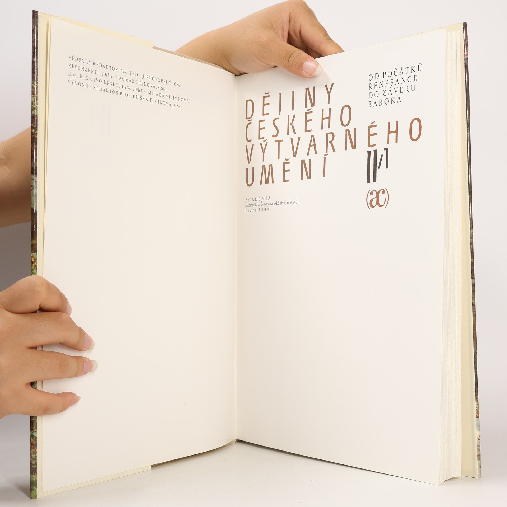 Autores varios Dějiny českého výtvarného umění II/1