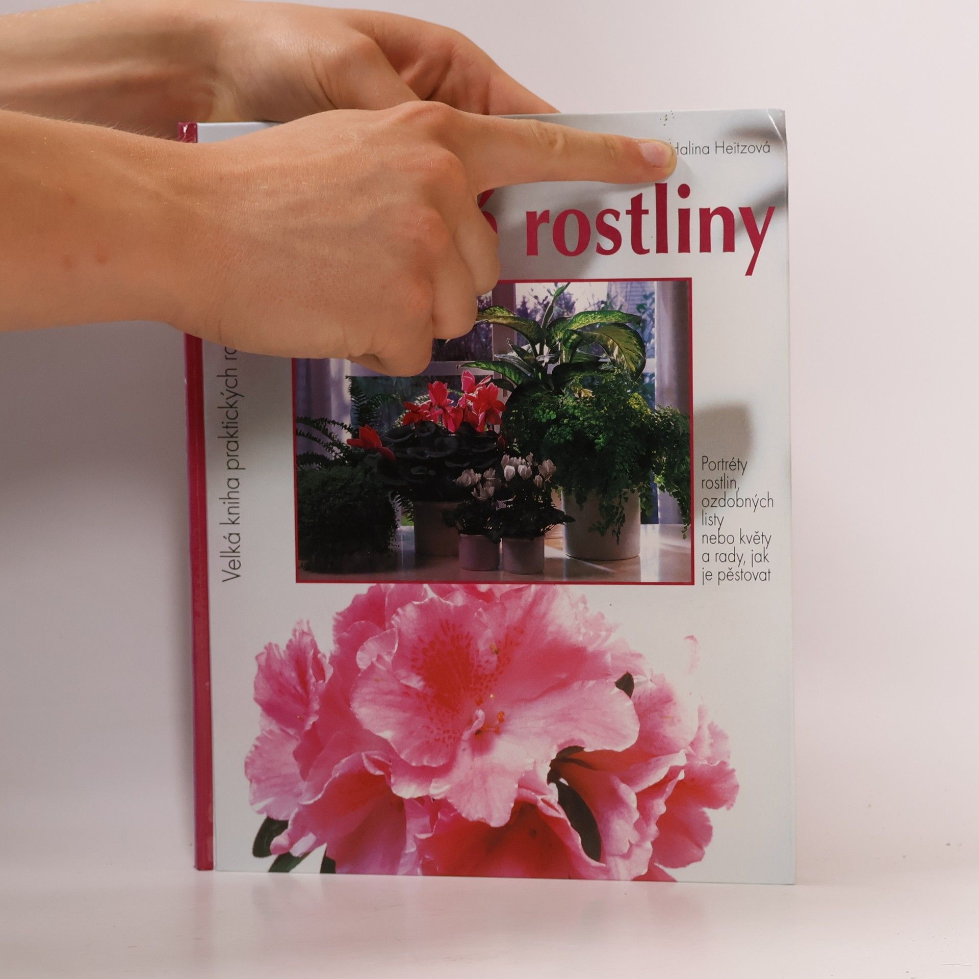 Halina Heitz Pokojové rostliny. Krása v květech i v listech