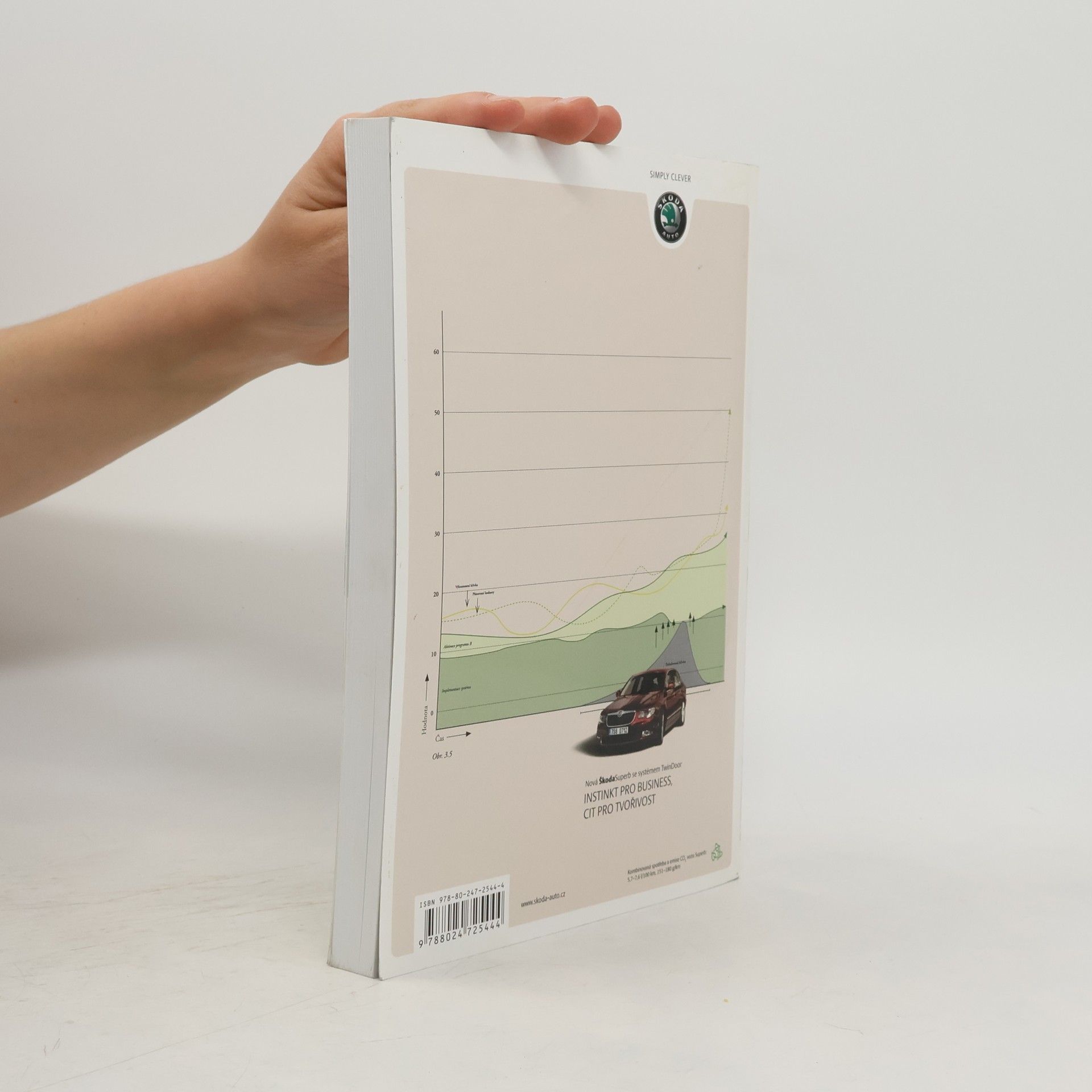 Richard Newton Úspěšný projektový manažer
