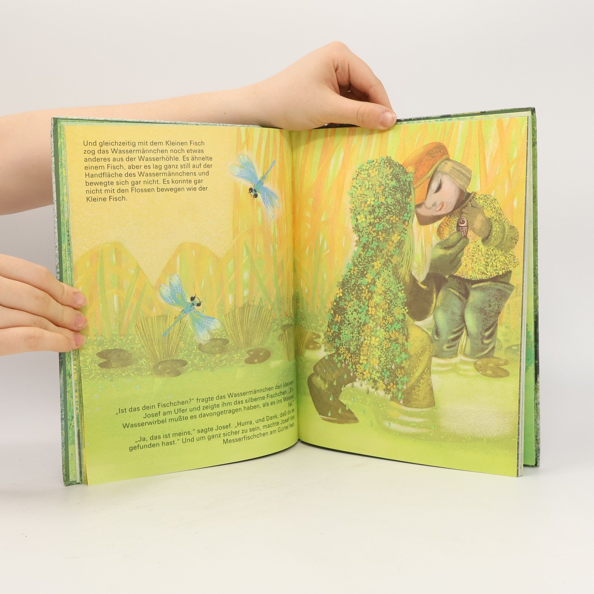 Milena Lukešová Der kleine Josef und die Fische