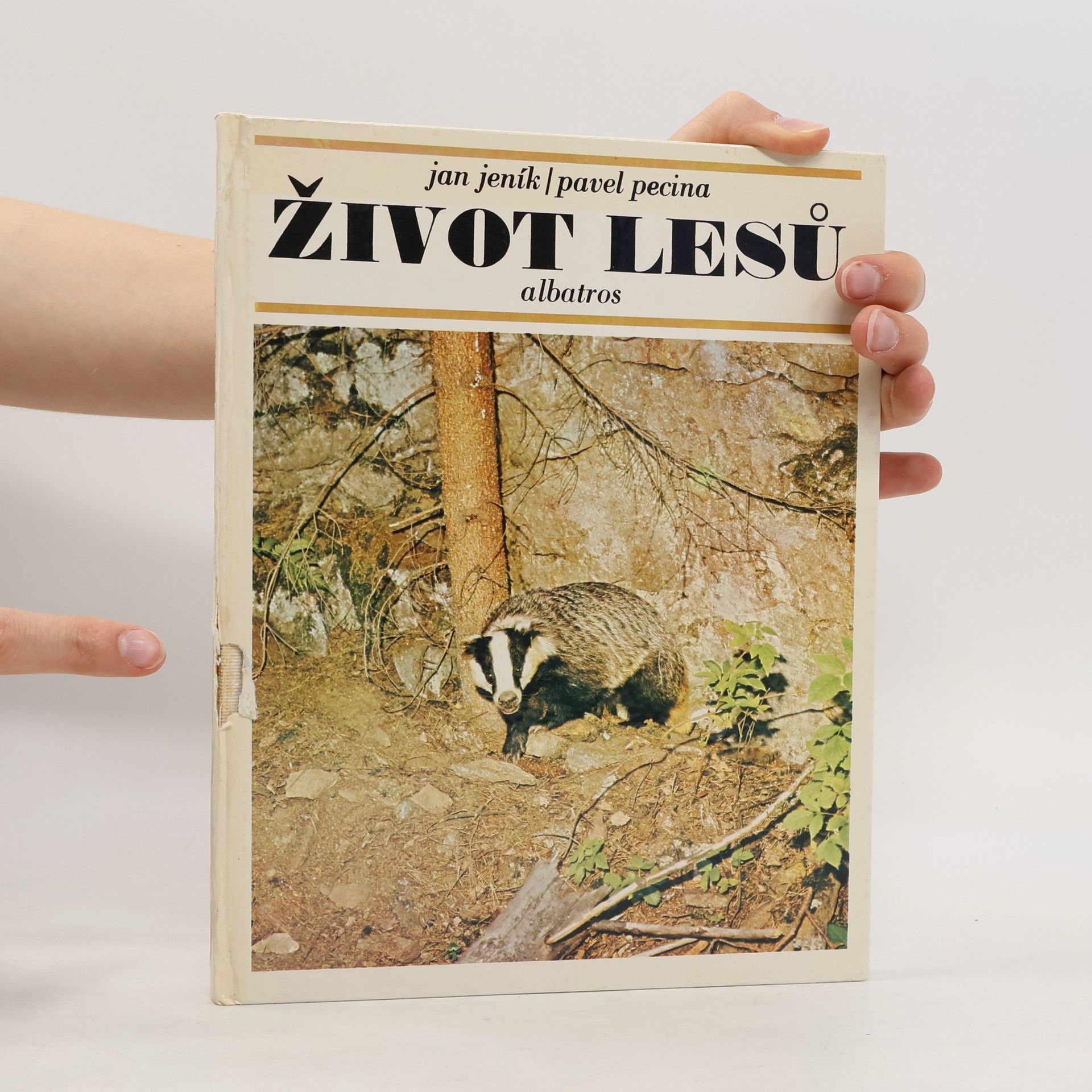 Jan Jeník Život lesů