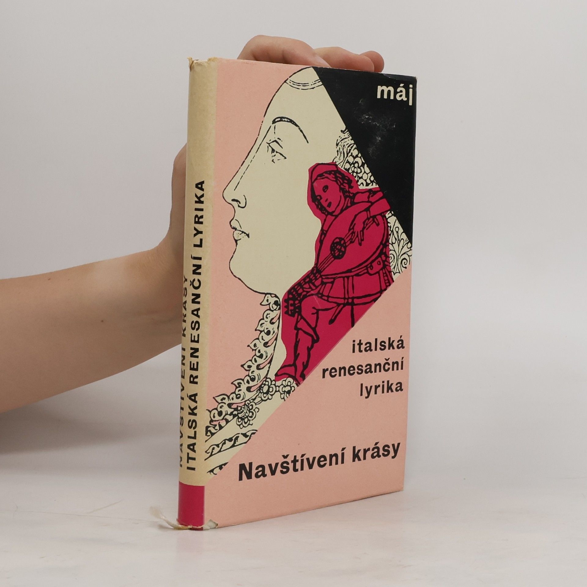 Navštívení krásy. Italská renesanční lyrika