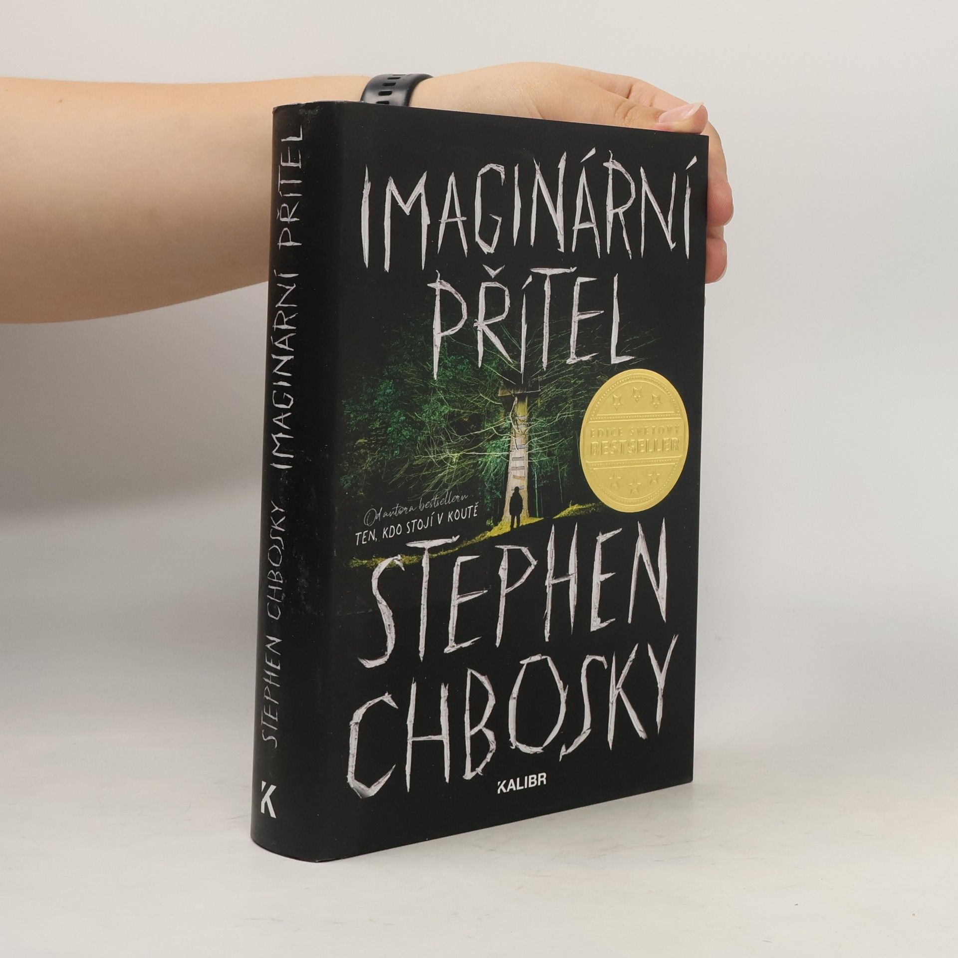 Stephen Chbosky Imaginární přítel