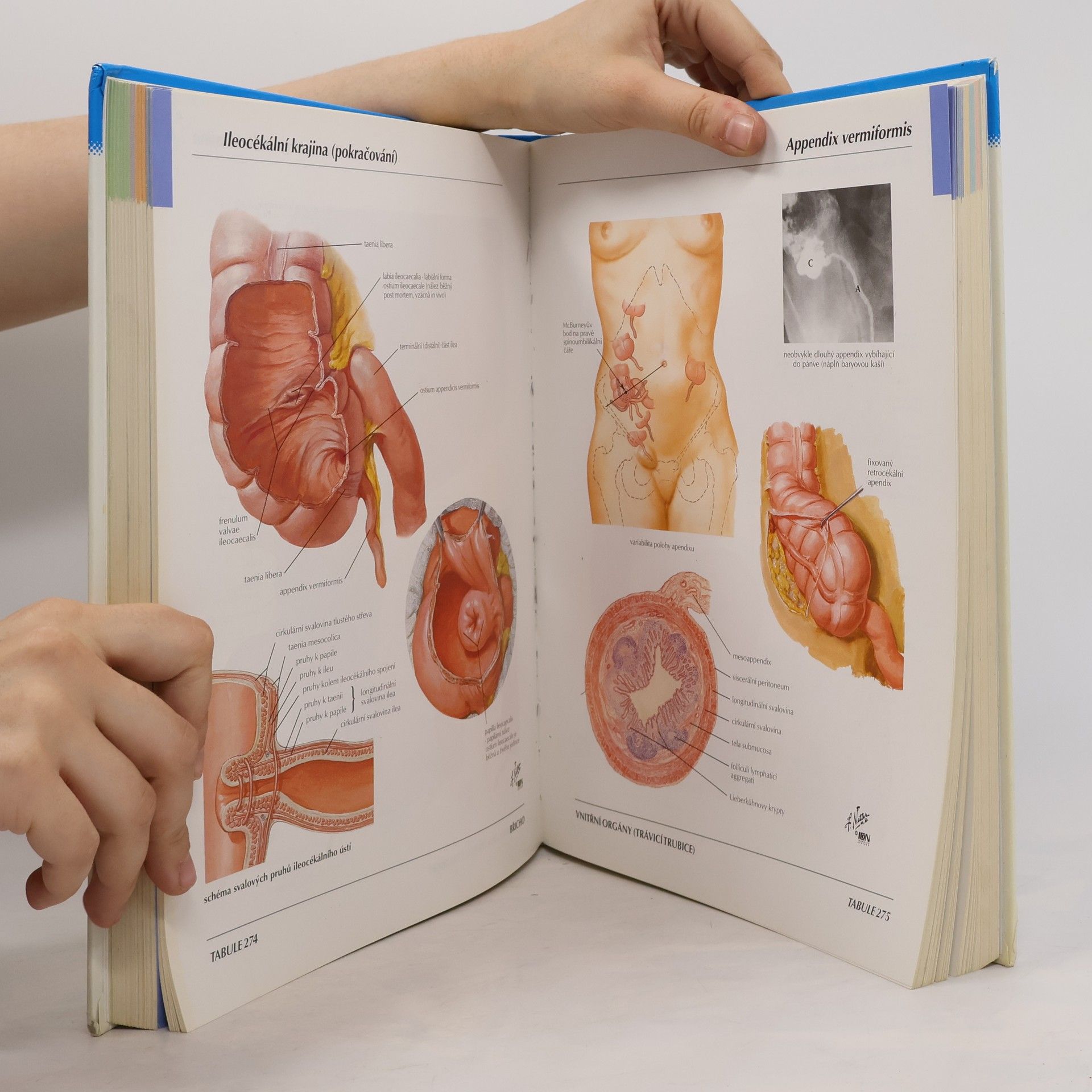 Frank H. Netter Anatomický atlas člověka
