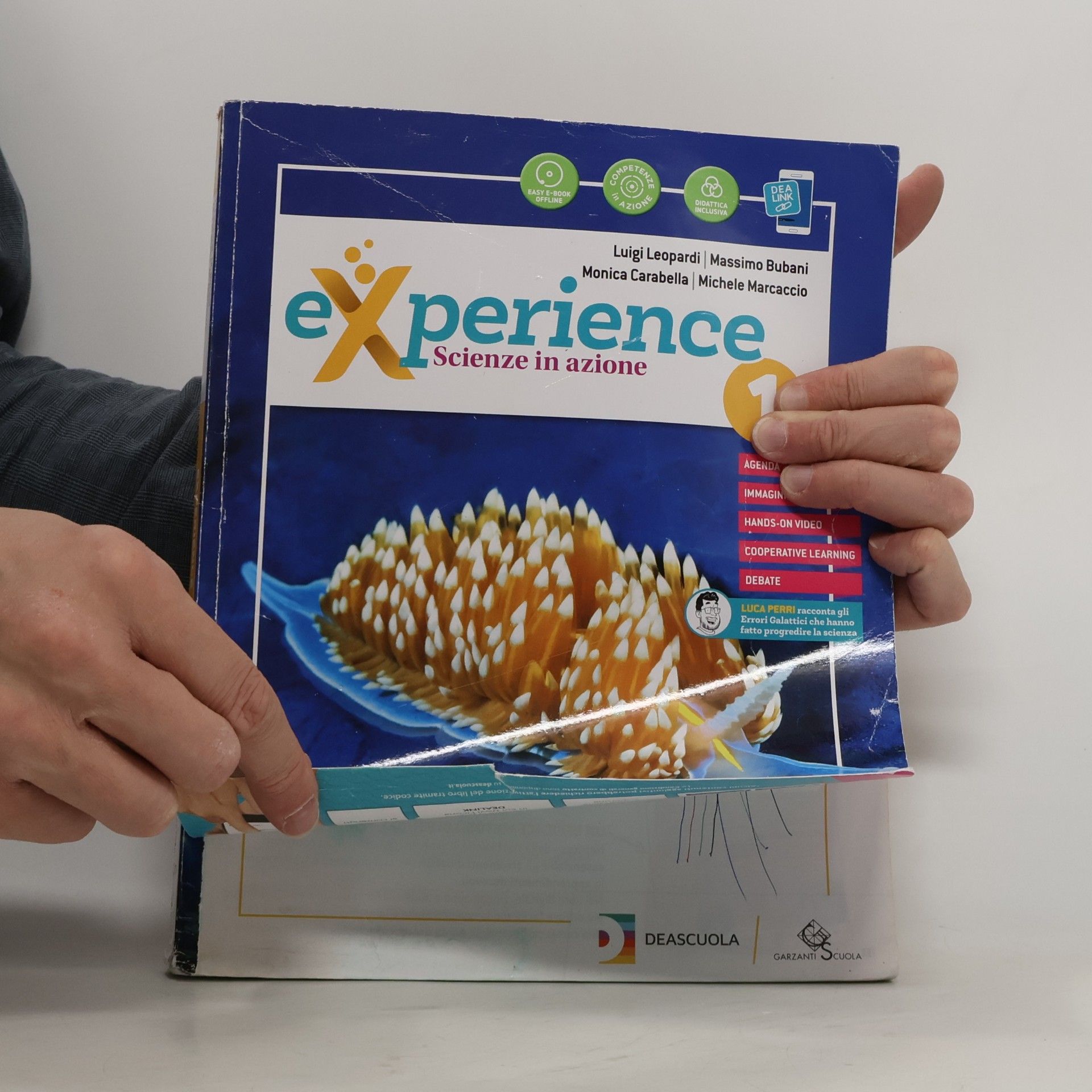 Luigi Leonardi Experience 1