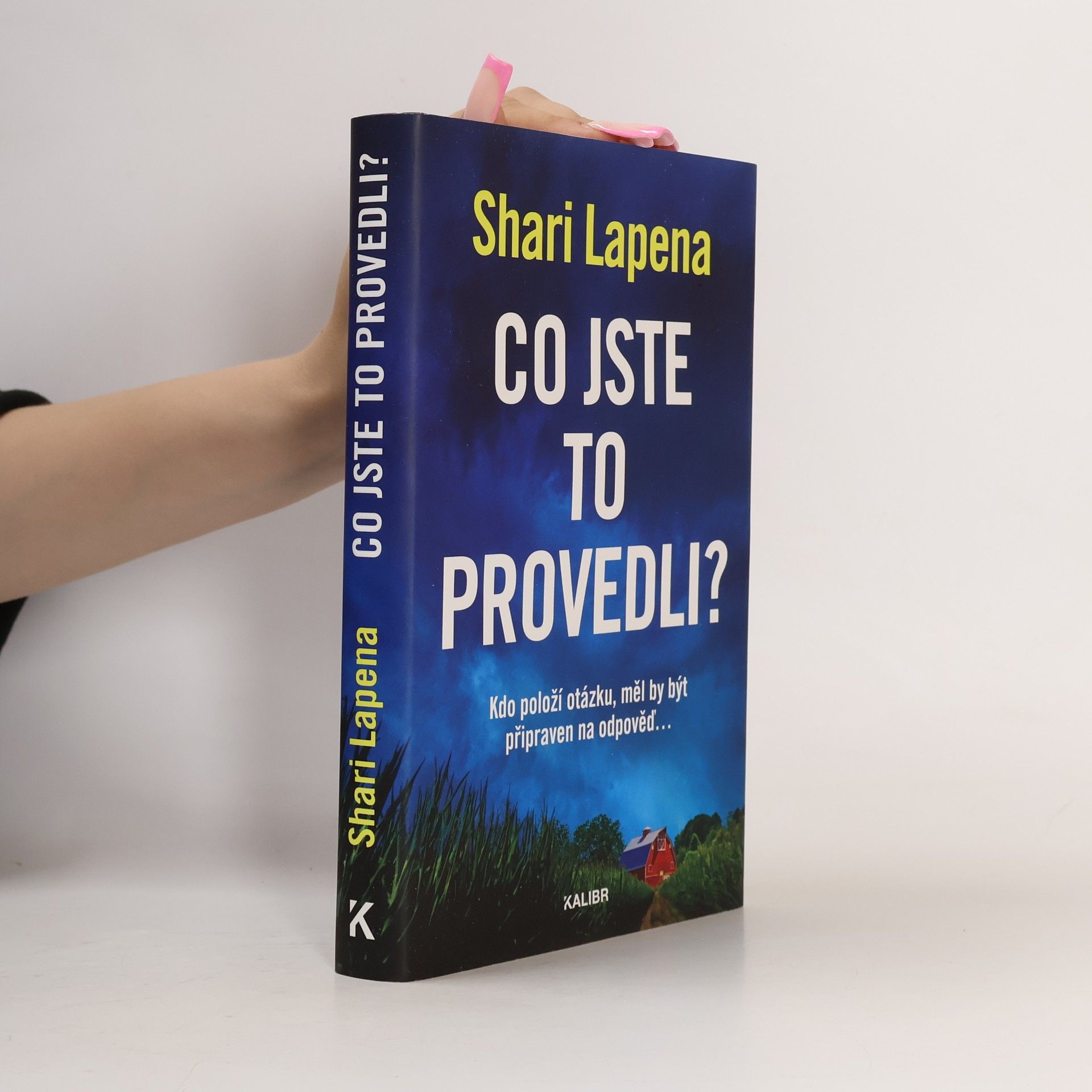 Shari Lapena Co jste to provedli?