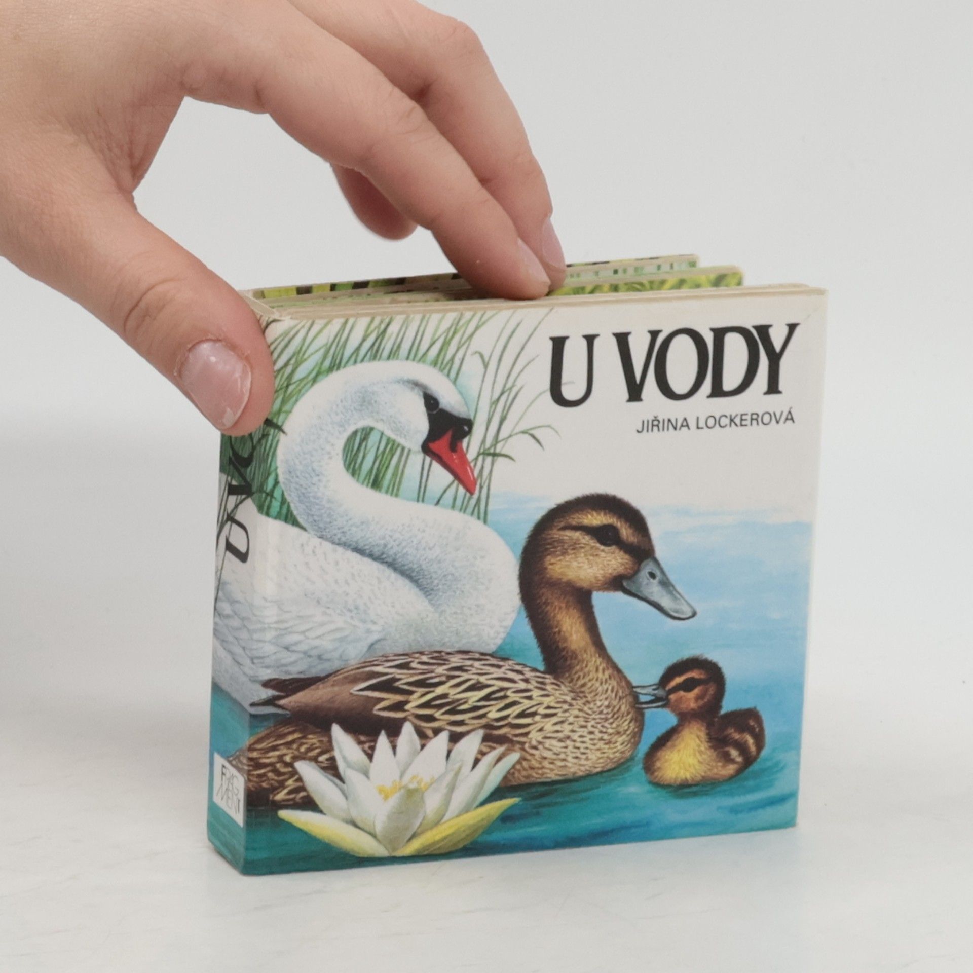 Jirina Lockerova U vody