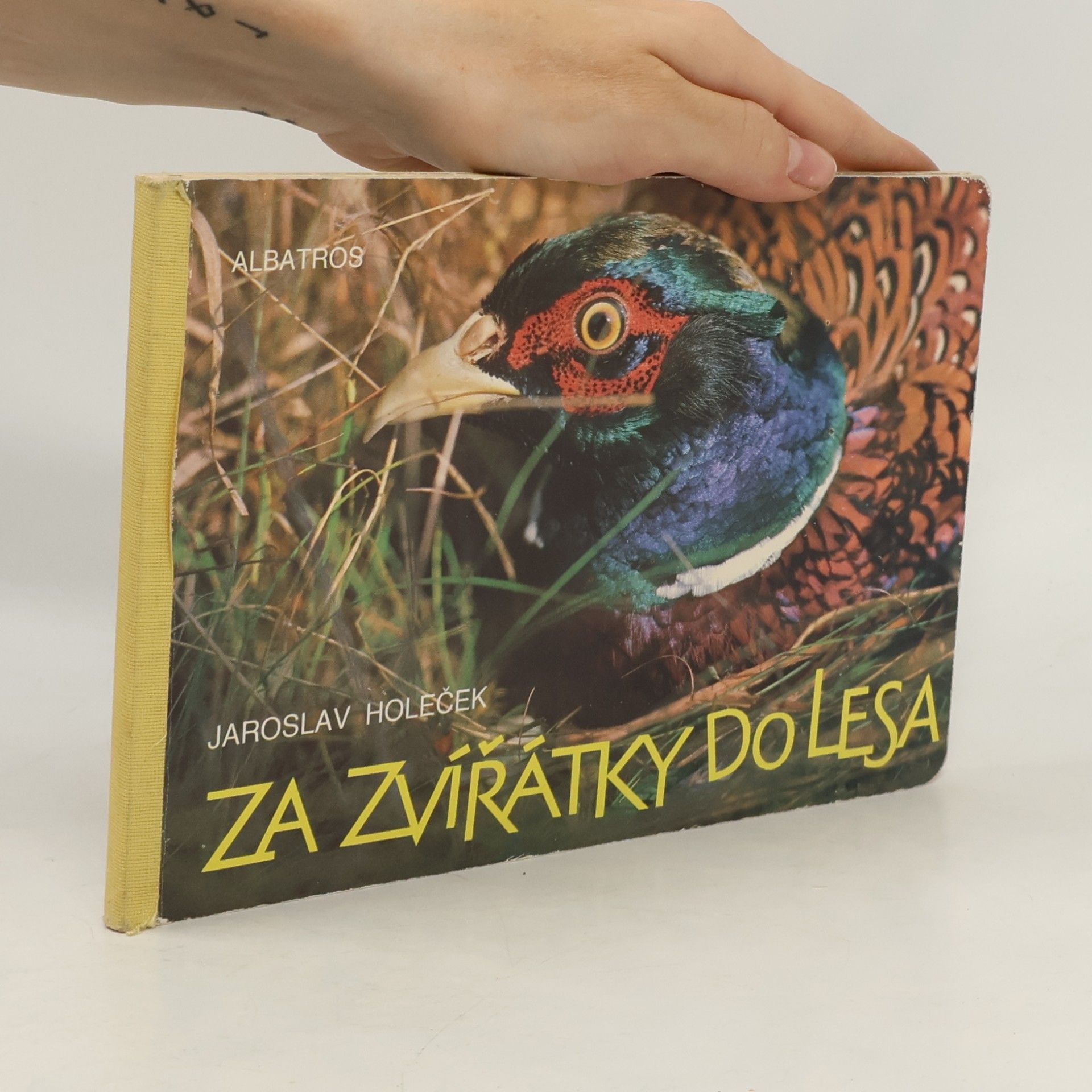 Jaroslav Holeček Za zvířátky do lesa