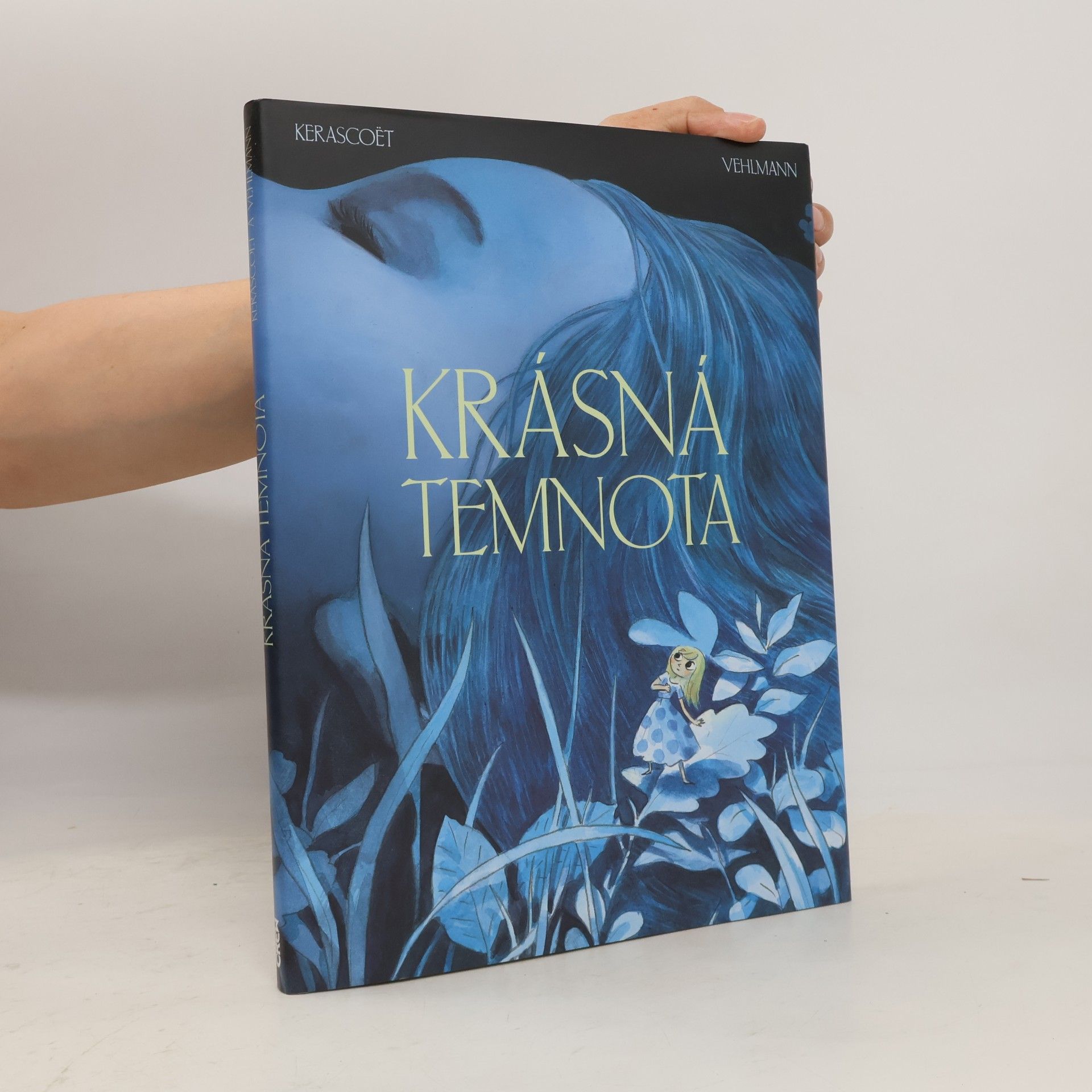 Fabien Vehlmann Krásná temnota