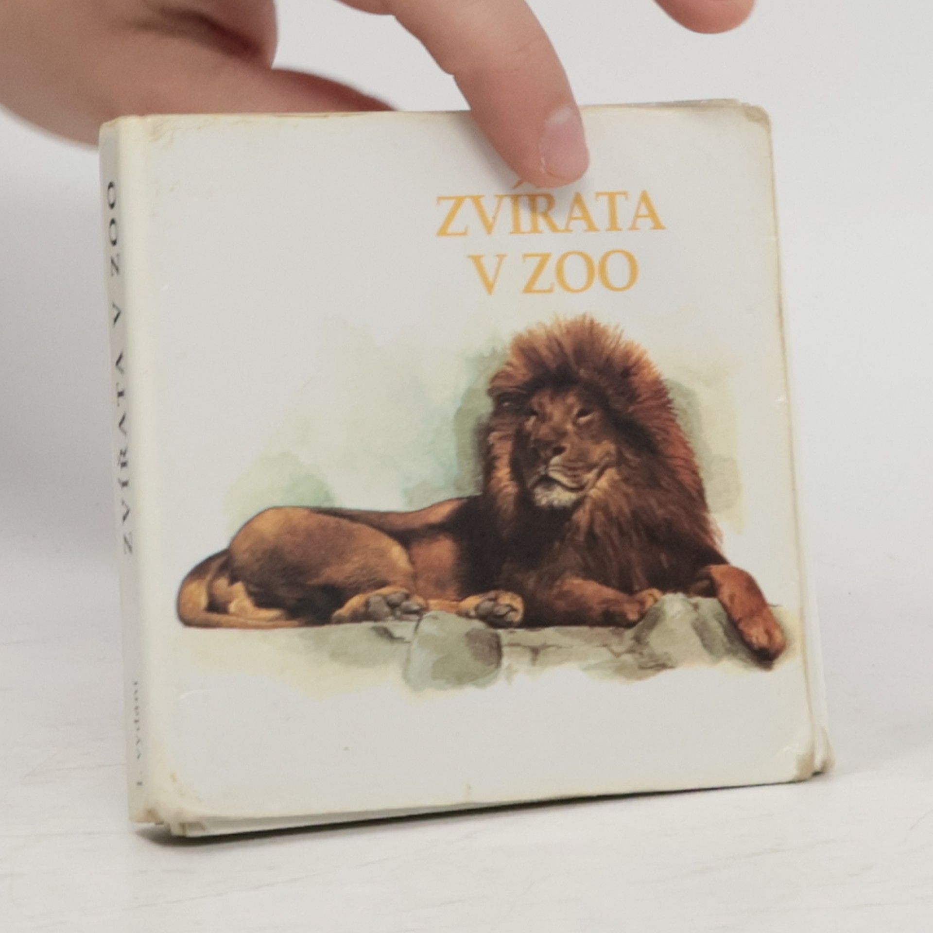 AA.VV. Zvířata v zoo