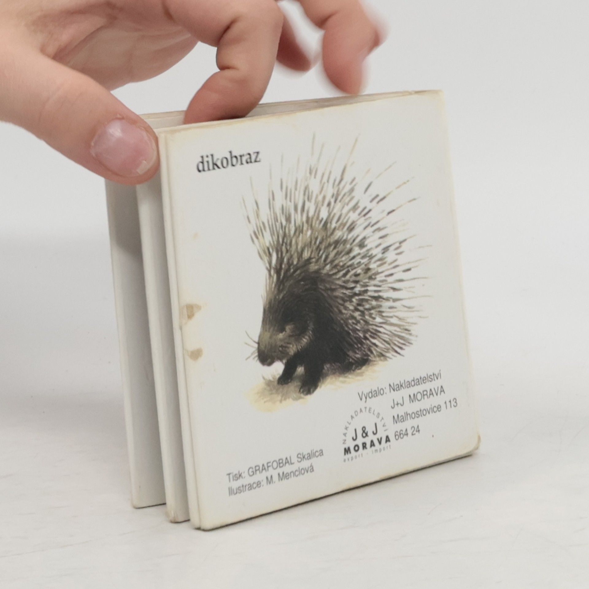 AA.VV. Zvířata v zoo