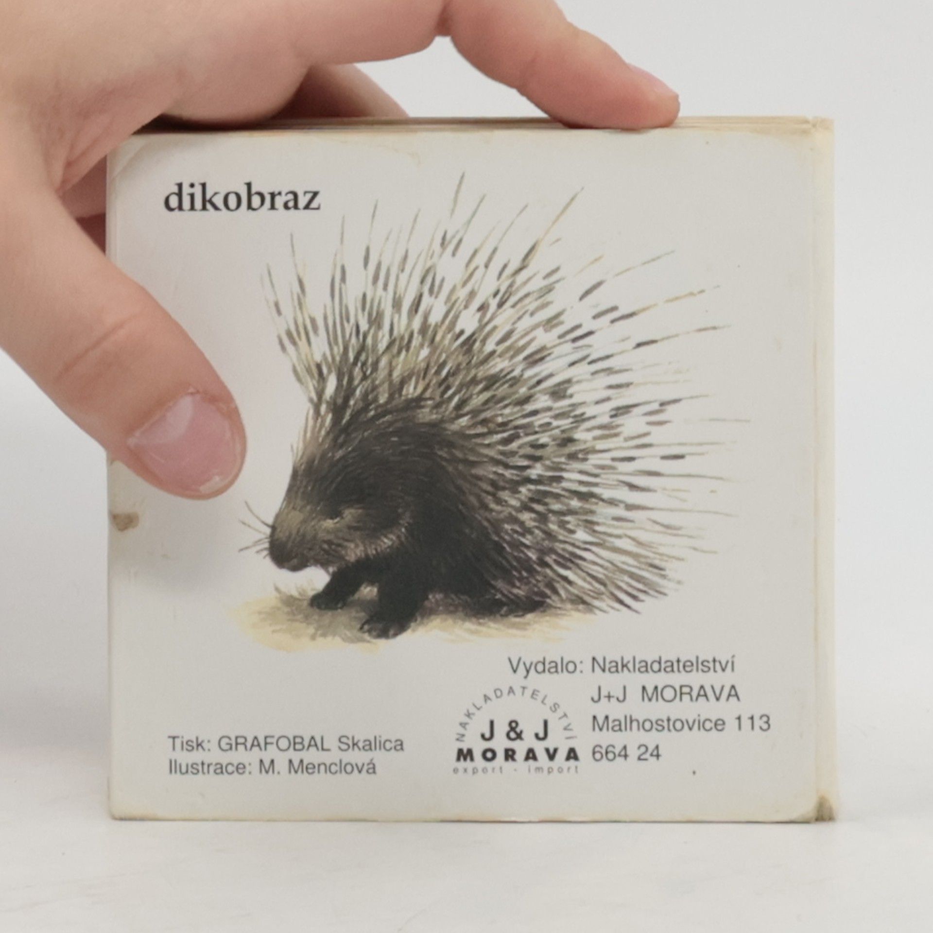 AA.VV. Zvířata v zoo