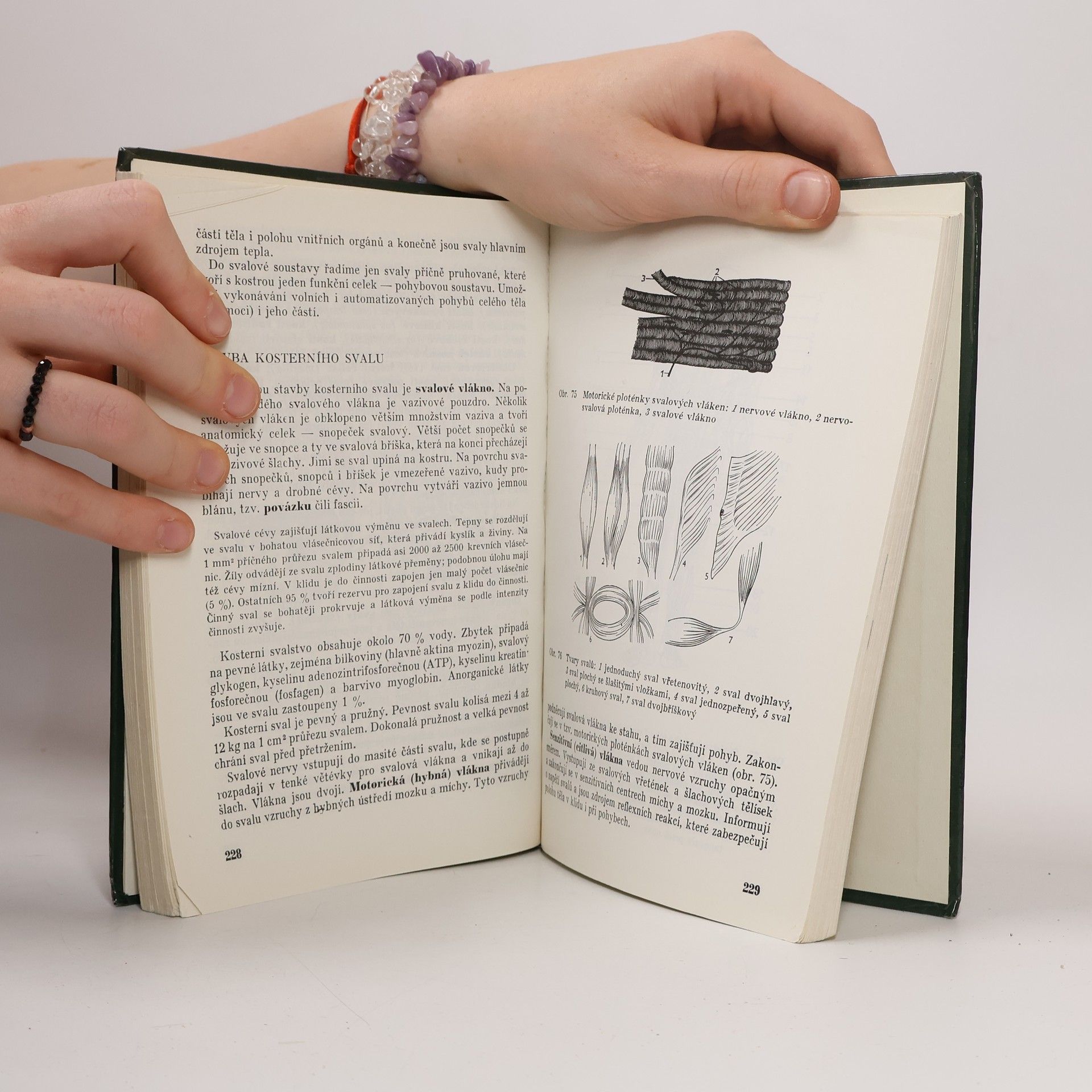 František Horník Seminář a cvičení z biologie pro IV. ročník gymnázií