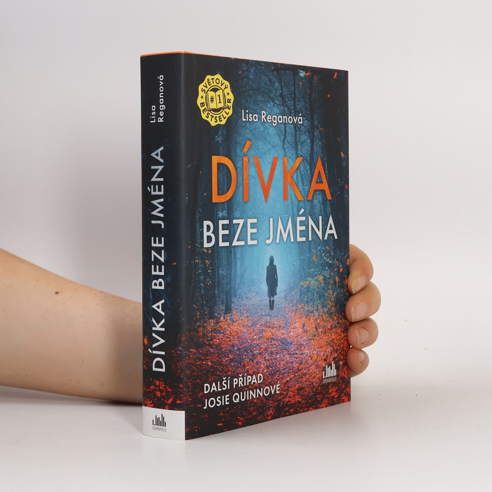 Lisa Regan Dívka beze jména: Další případ Josie Quinnové