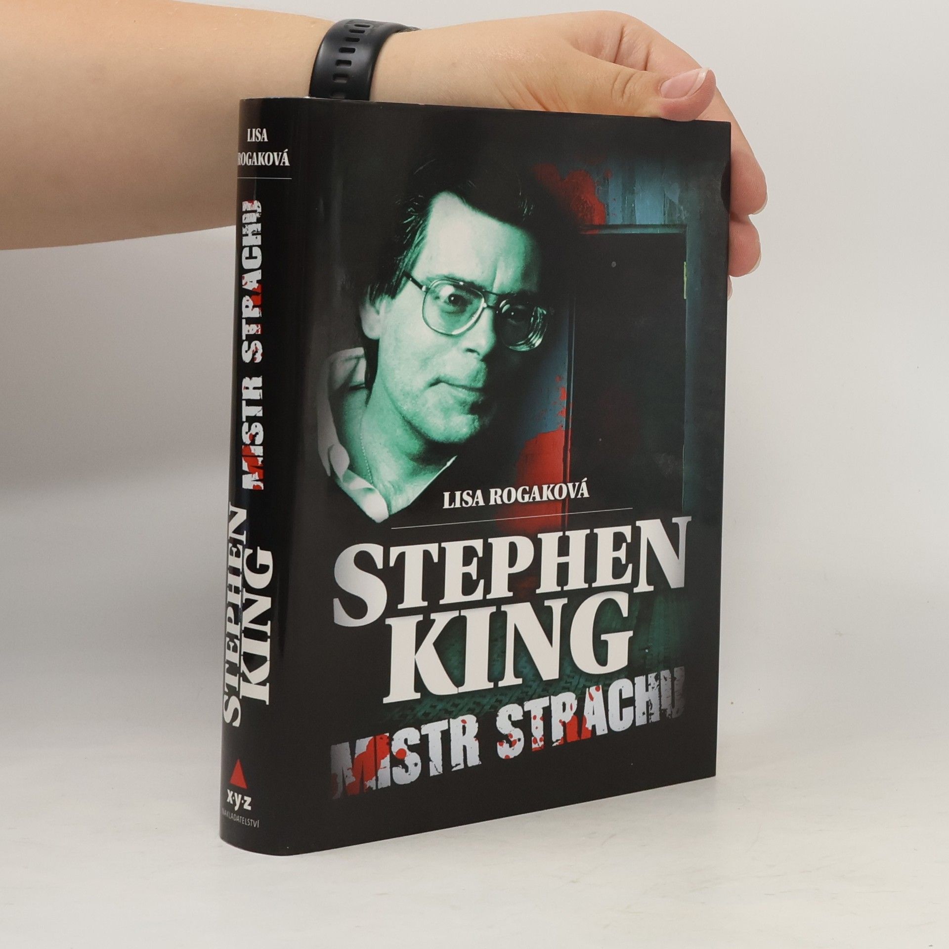 Stephen King. Mistr strachu