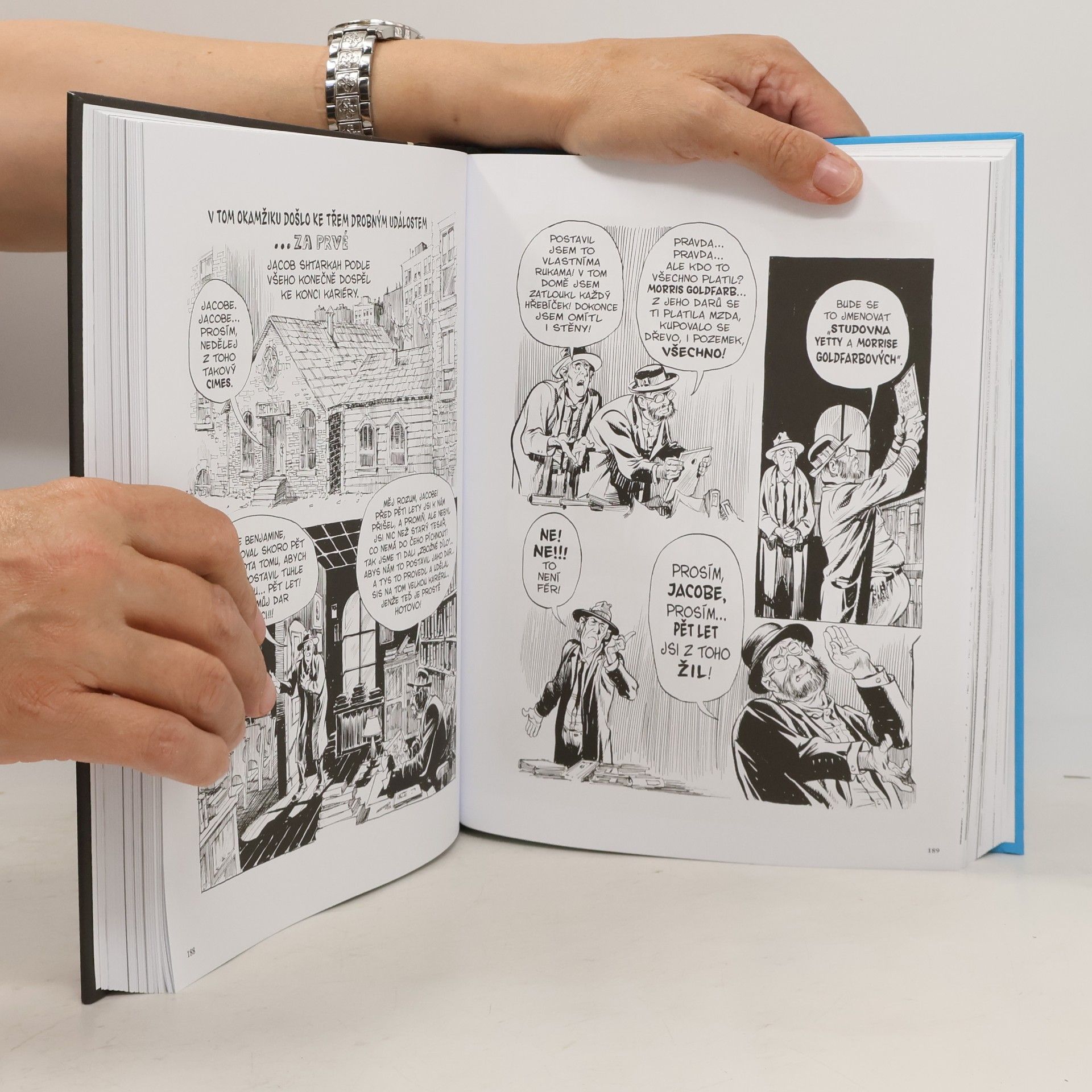 Will Eisner Smlouva s bohem. Život na Dropsie avenue