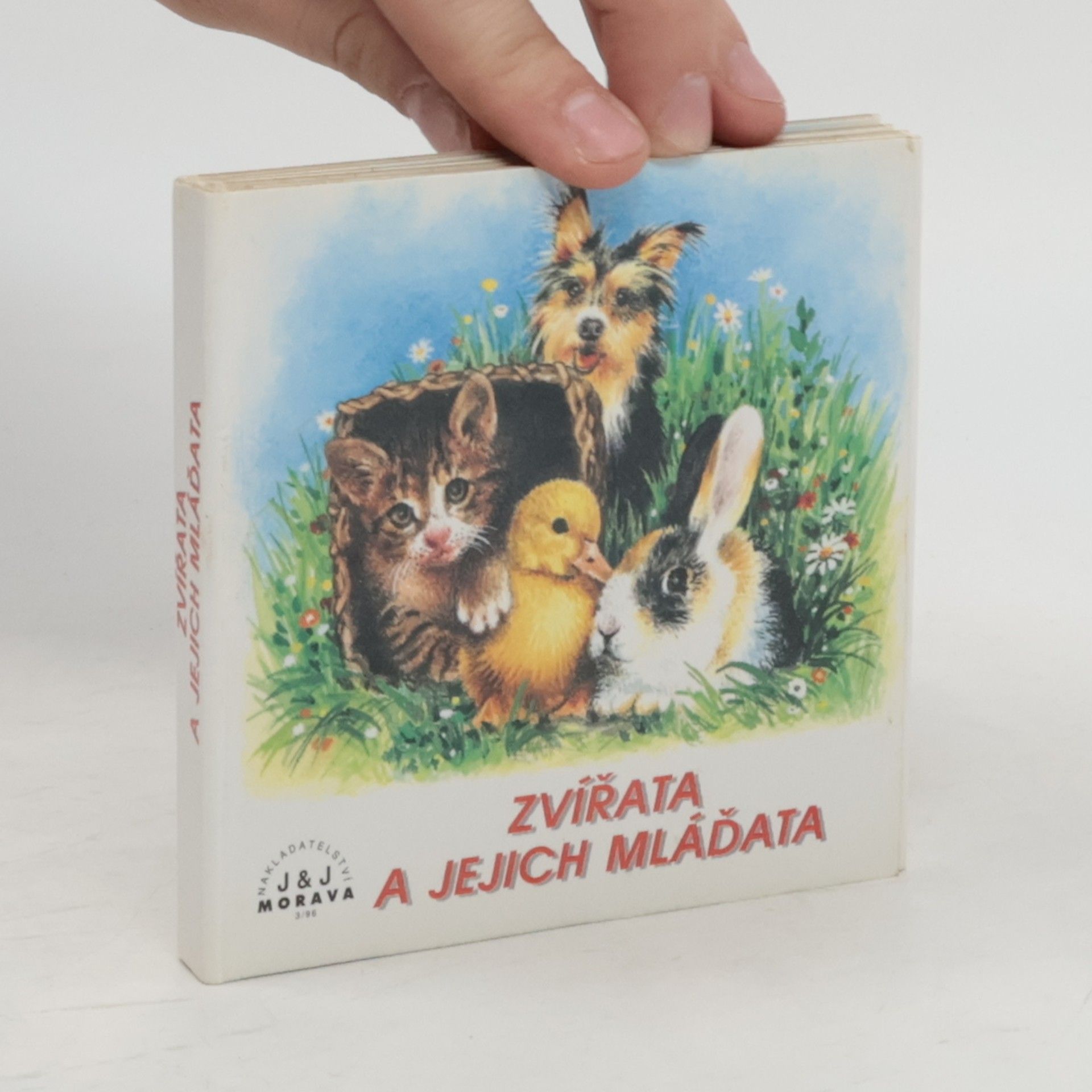 AA.VV. Zvířata a jejich mláďata
