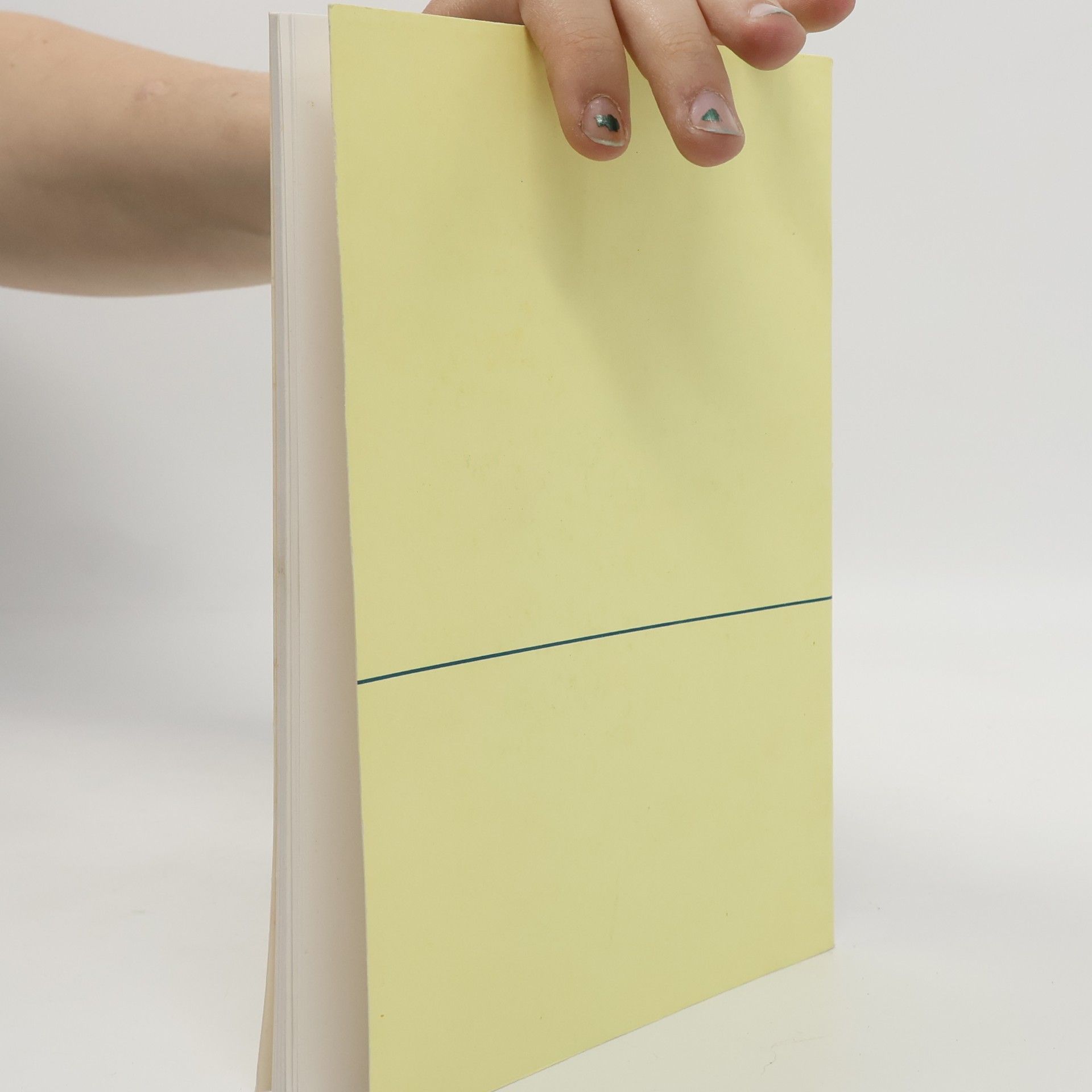 Autores varios Průvodce po Písku a okolí
