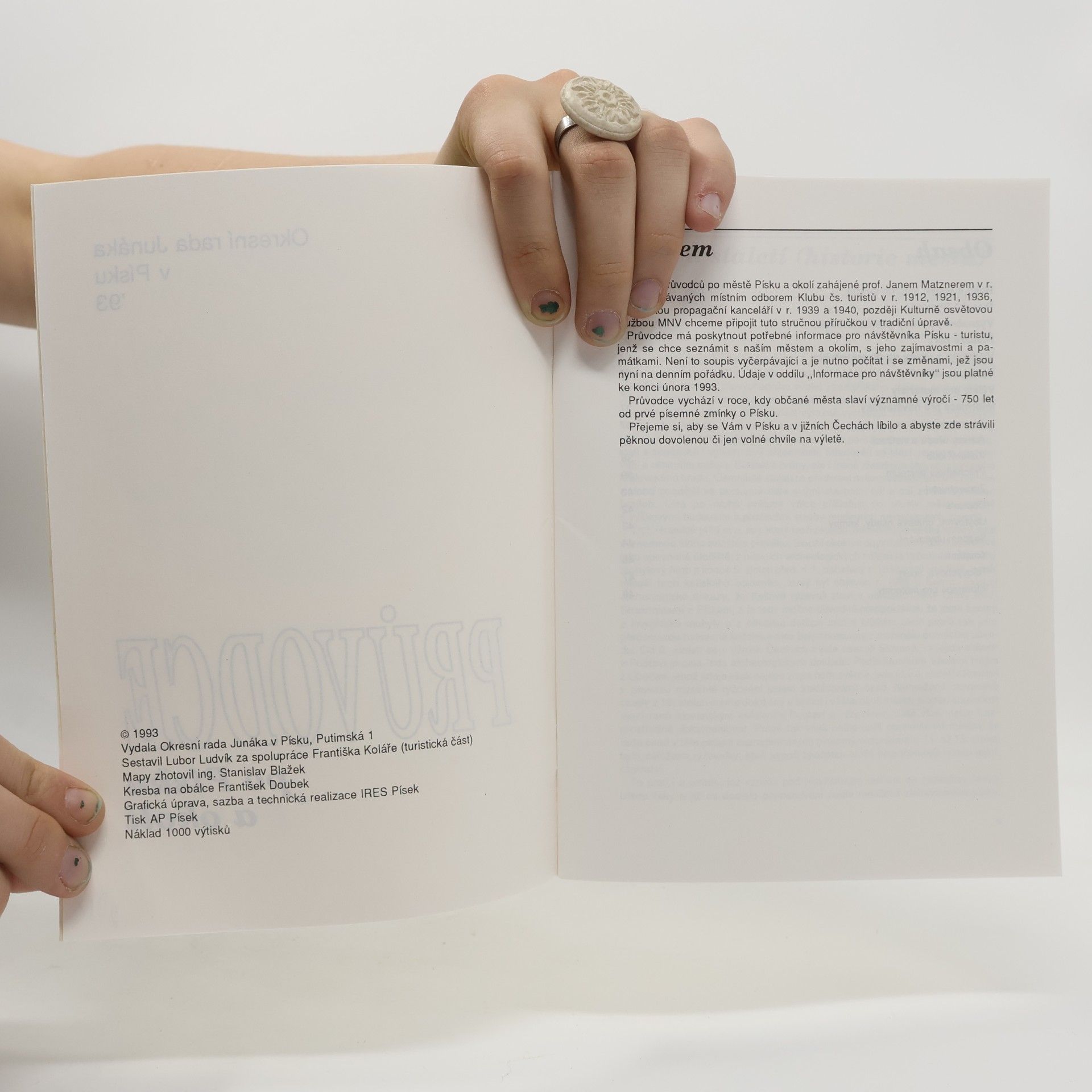 Autores varios Průvodce po Písku a okolí