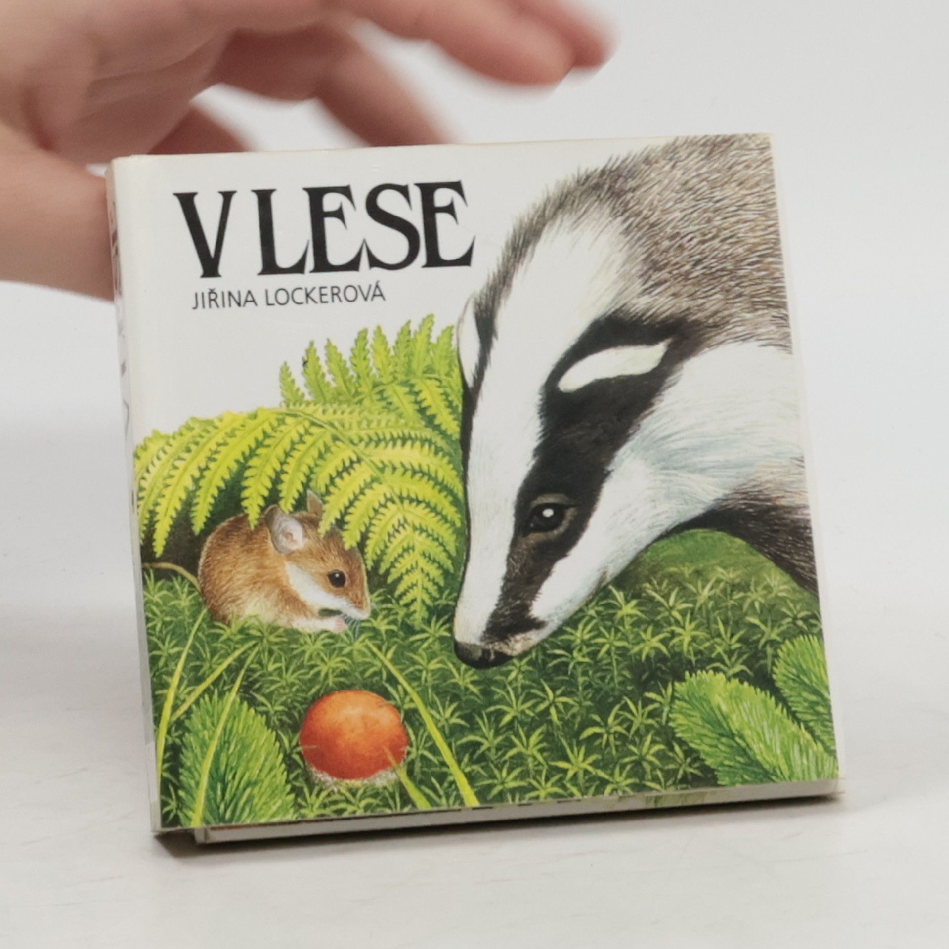 Jiřina Lockerová V lese (leporelo)