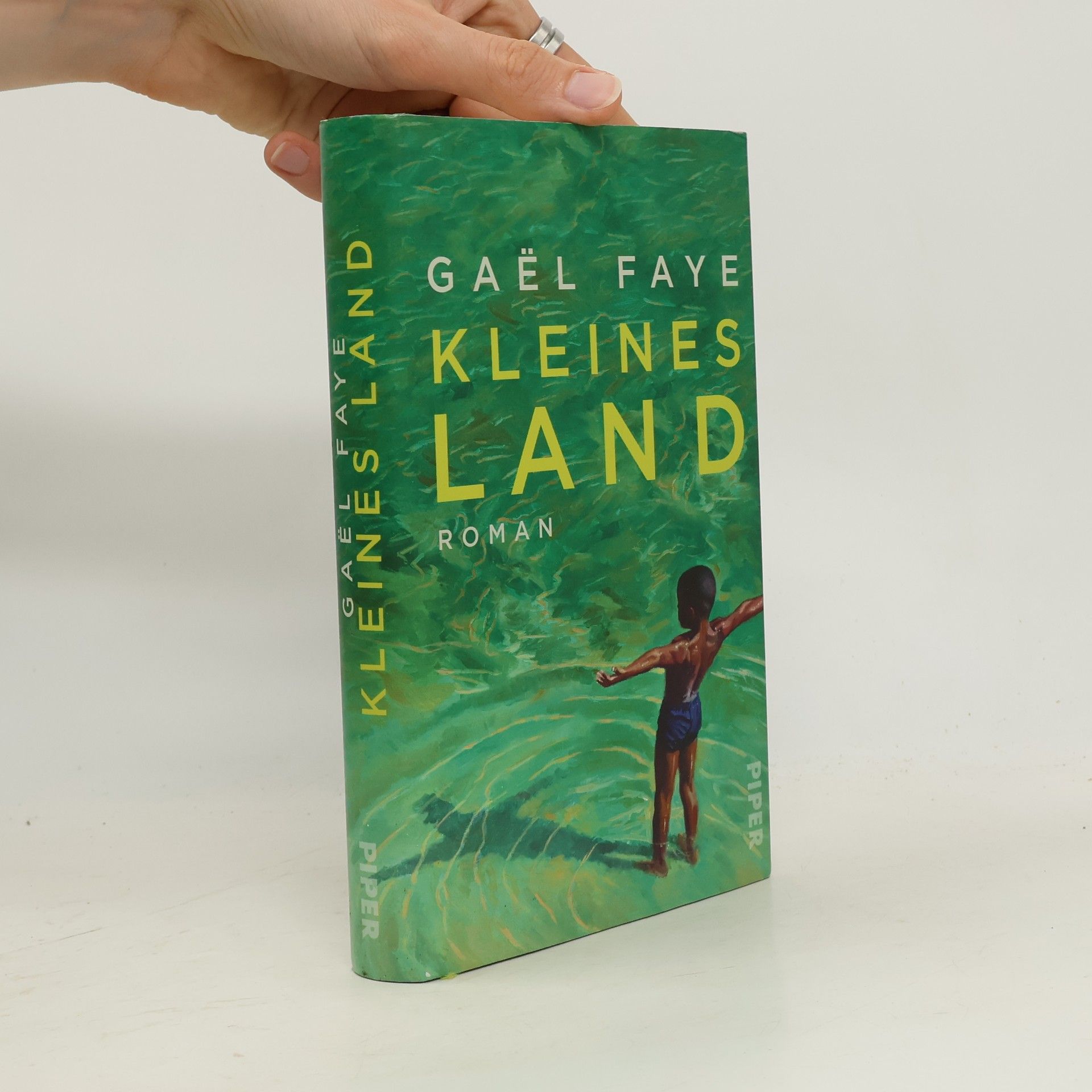 Gaël Faye Kleines Land