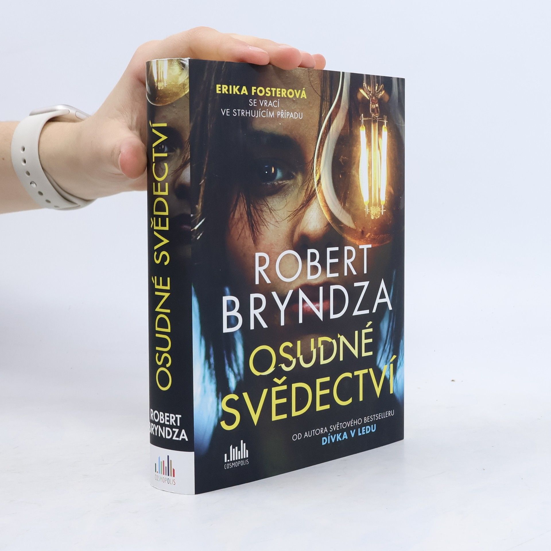 Robert Bryndza Osudné svědectví