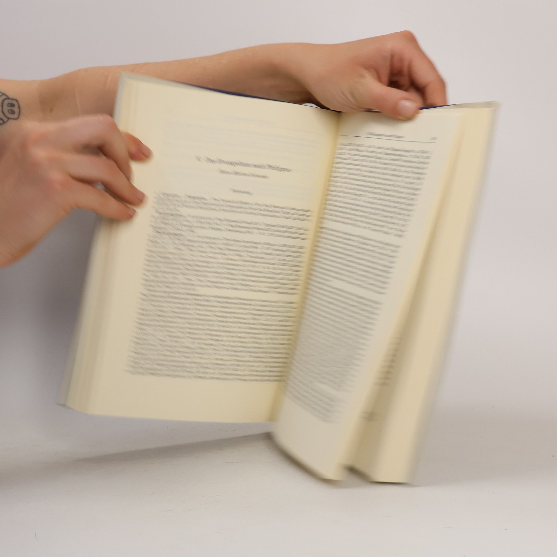 Wilhelm Schneemelcher Neutestamentliche Apokryphen in deutscher Übersetzung