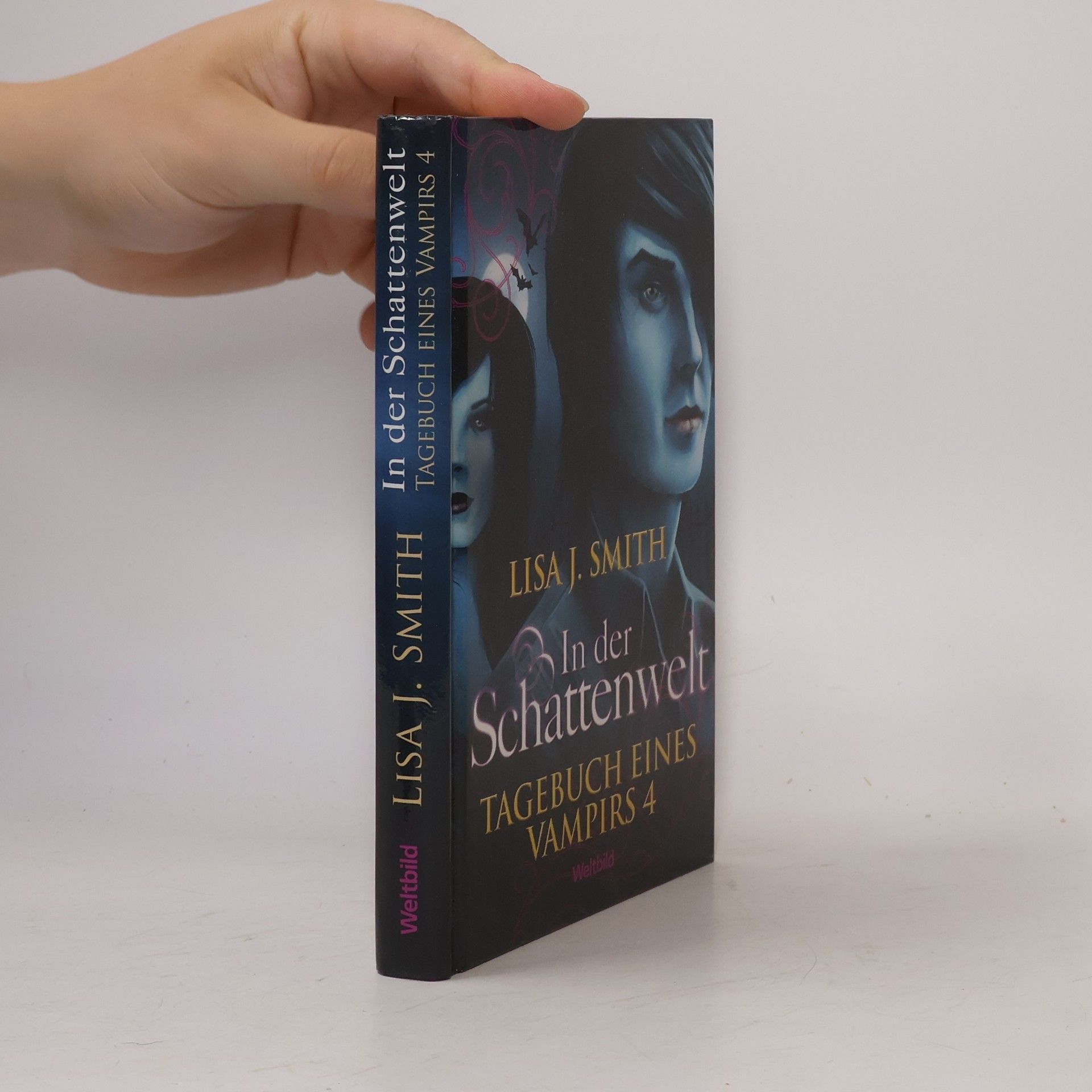 L. J. Smithová  Tagebuch eines Vampirs 4. In der Schattenwelt