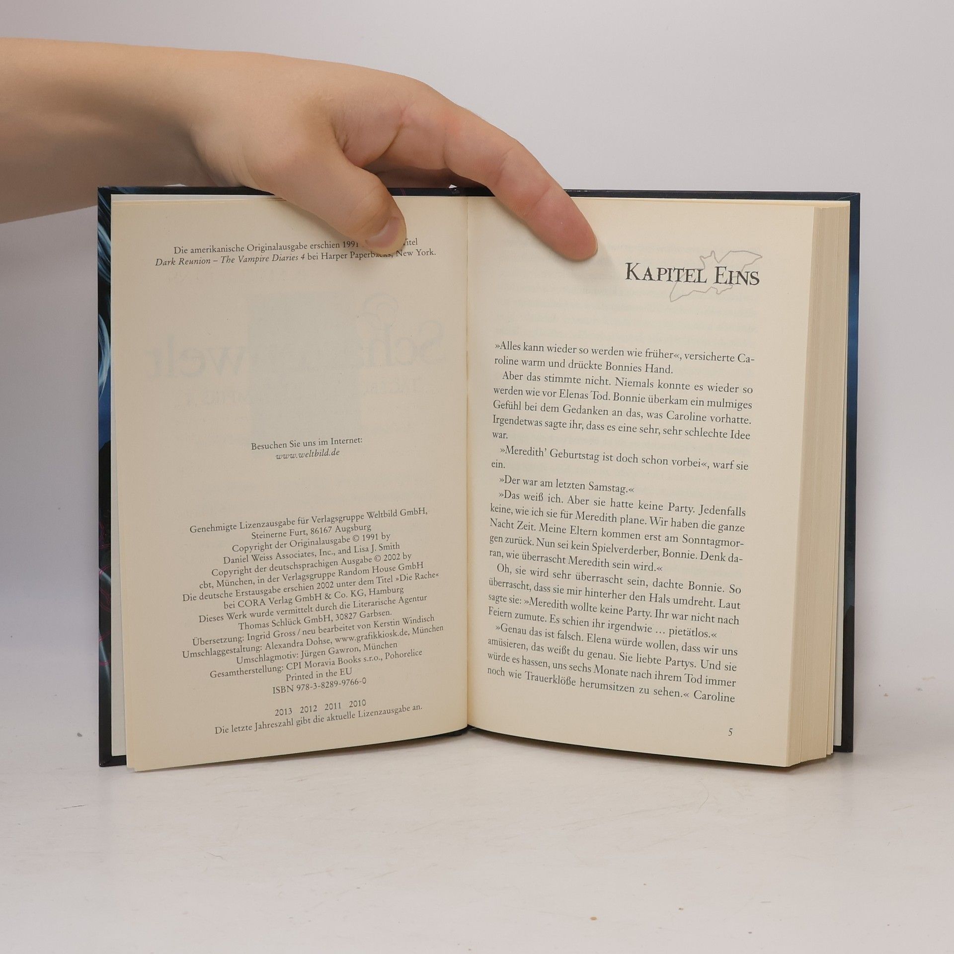 L. J. Smithová  Tagebuch eines Vampirs 4. In der Schattenwelt