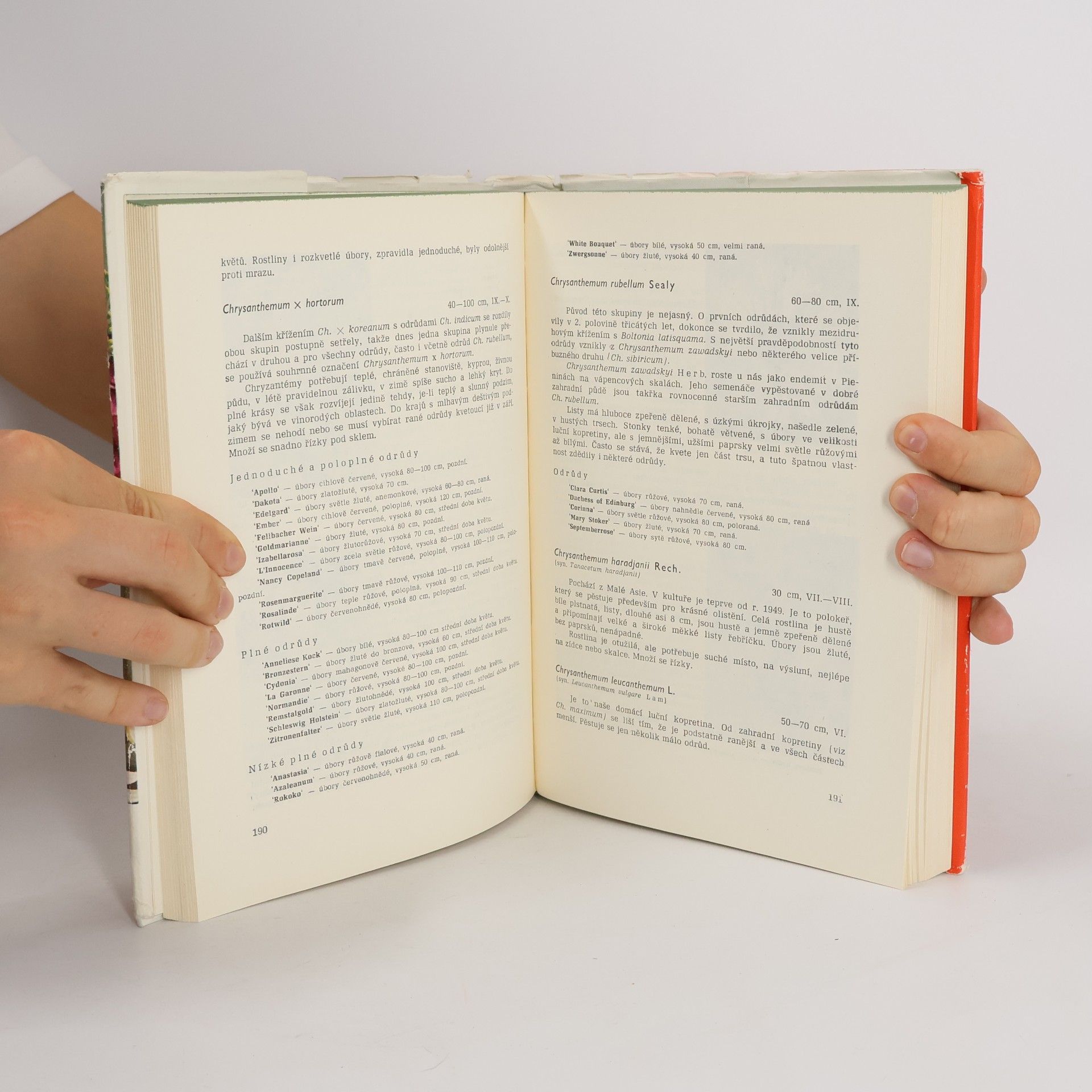 Various authors Trvalky v zahradě