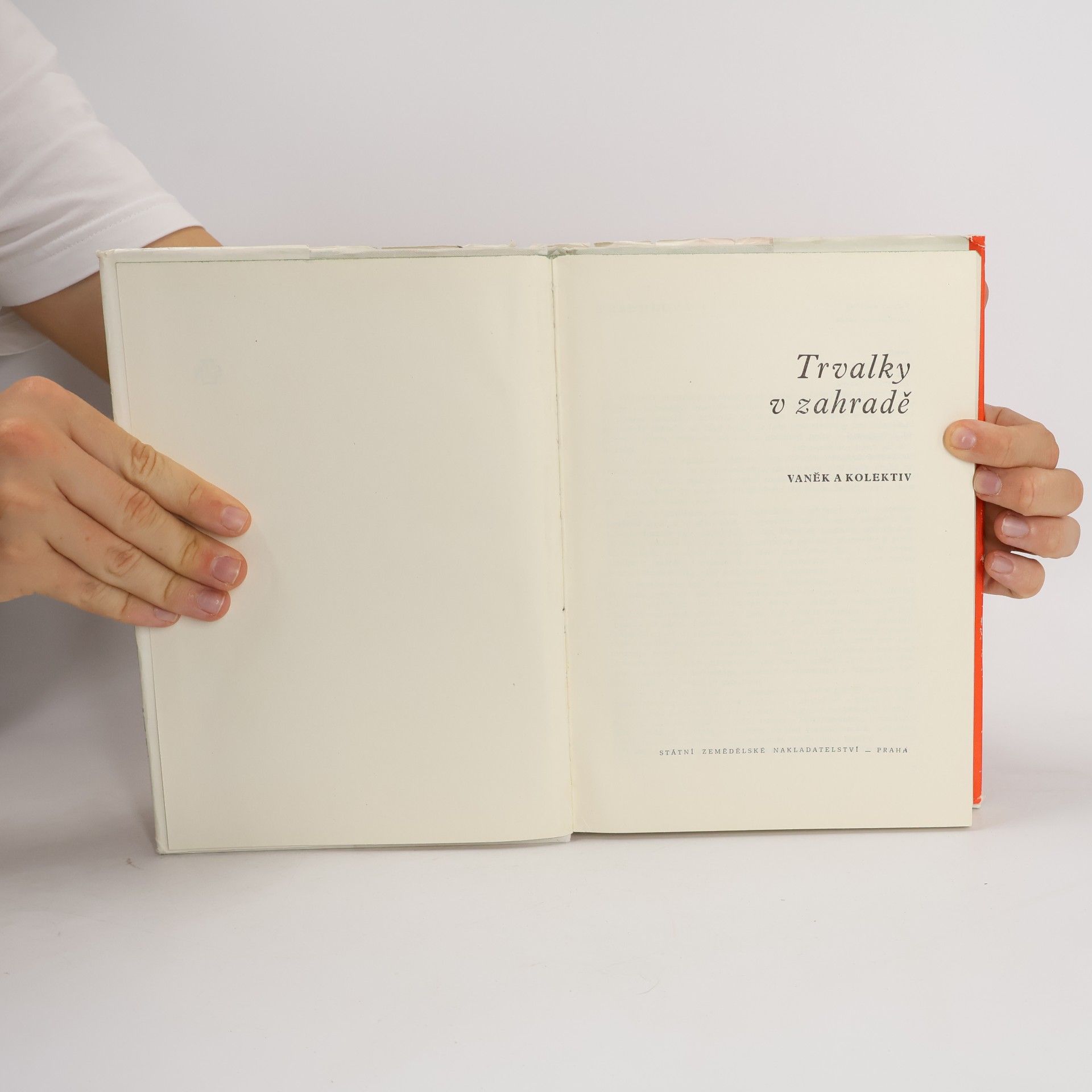 Various authors Trvalky v zahradě