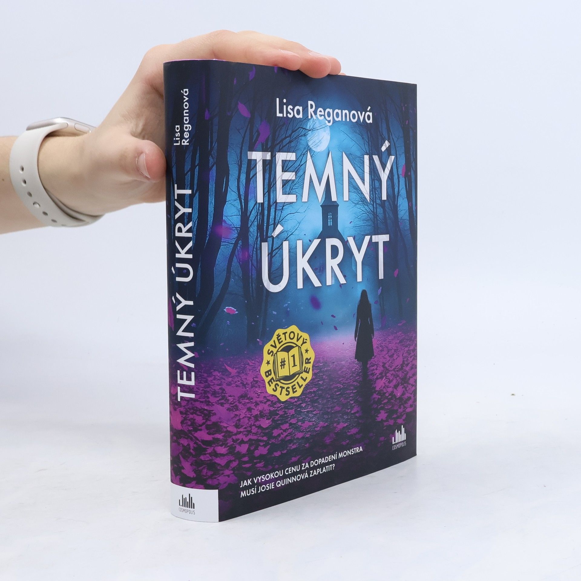 Lisa Regan Temný úkryt