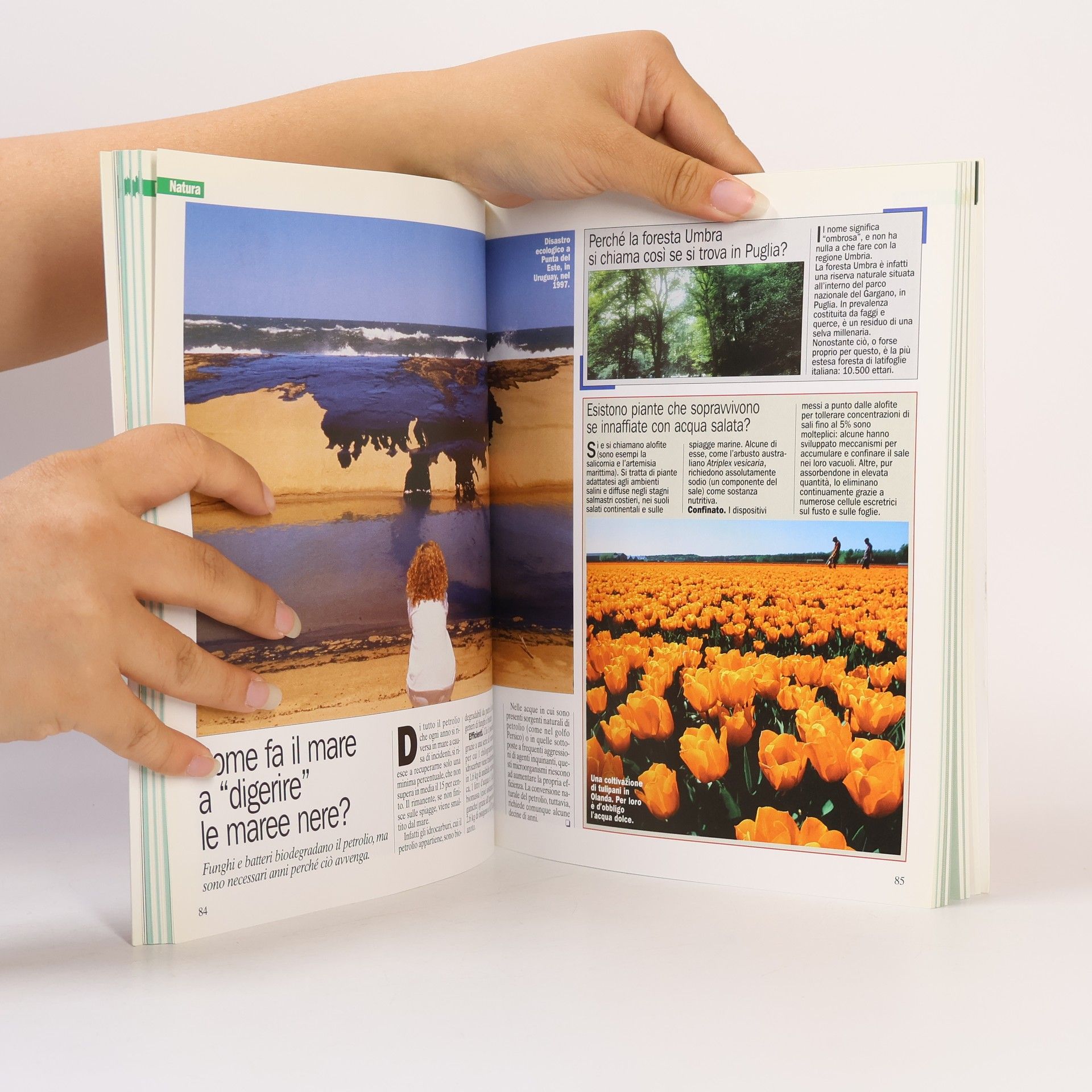 Collectif d'auteurs Piccola enciclopedia delle curiosita scientifiche 1