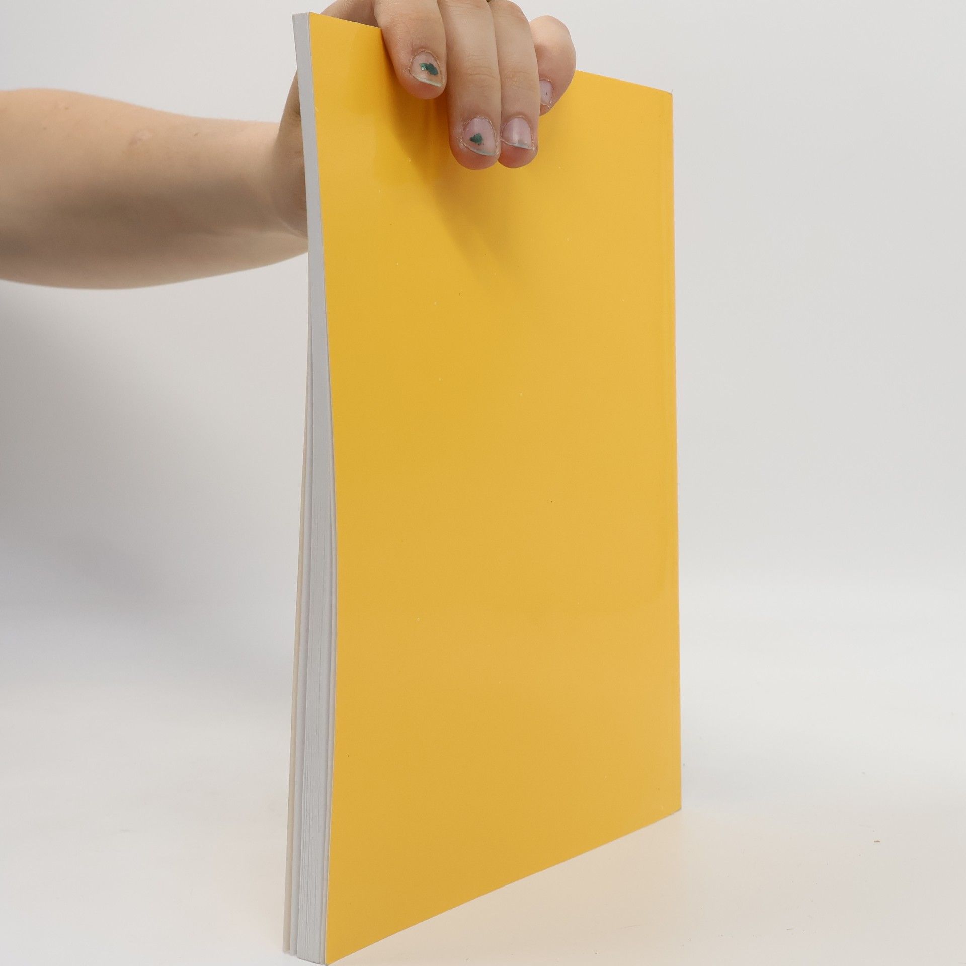 Collectif d'auteurs Písecká čítanka 3