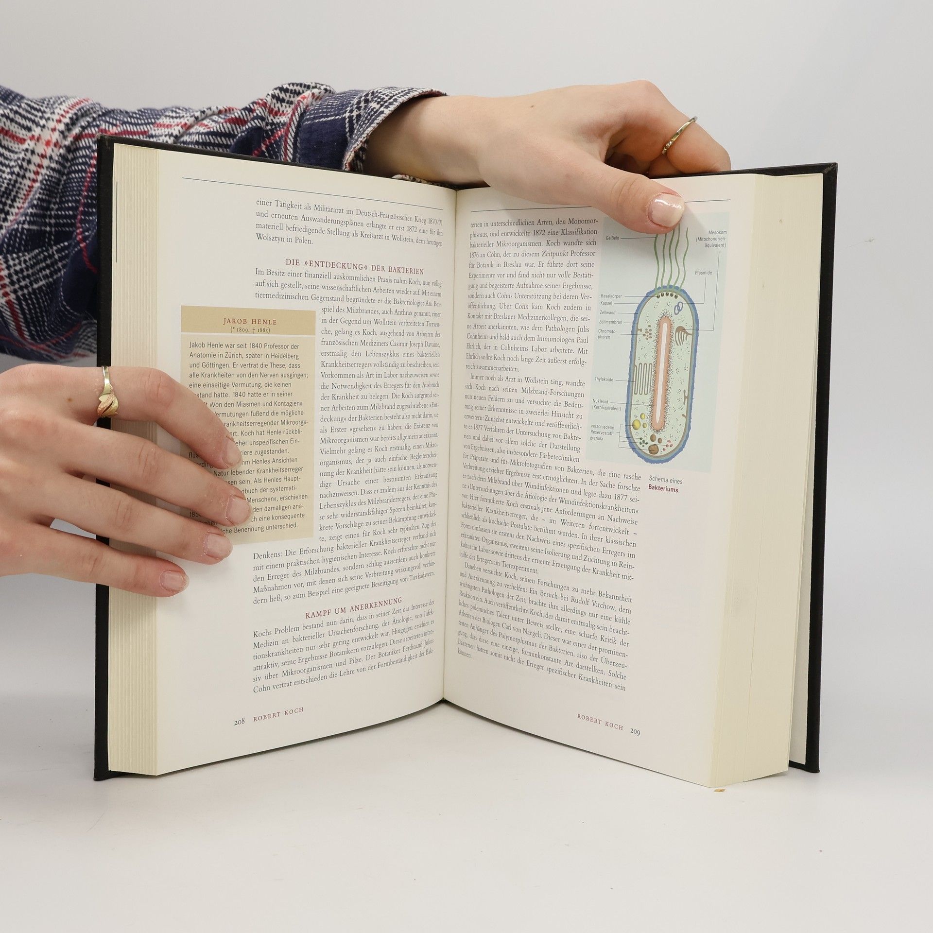 Autorenkollektiv Brockhaus. Die Grossen der Welt 1. Altertum und frühmittelalterliche