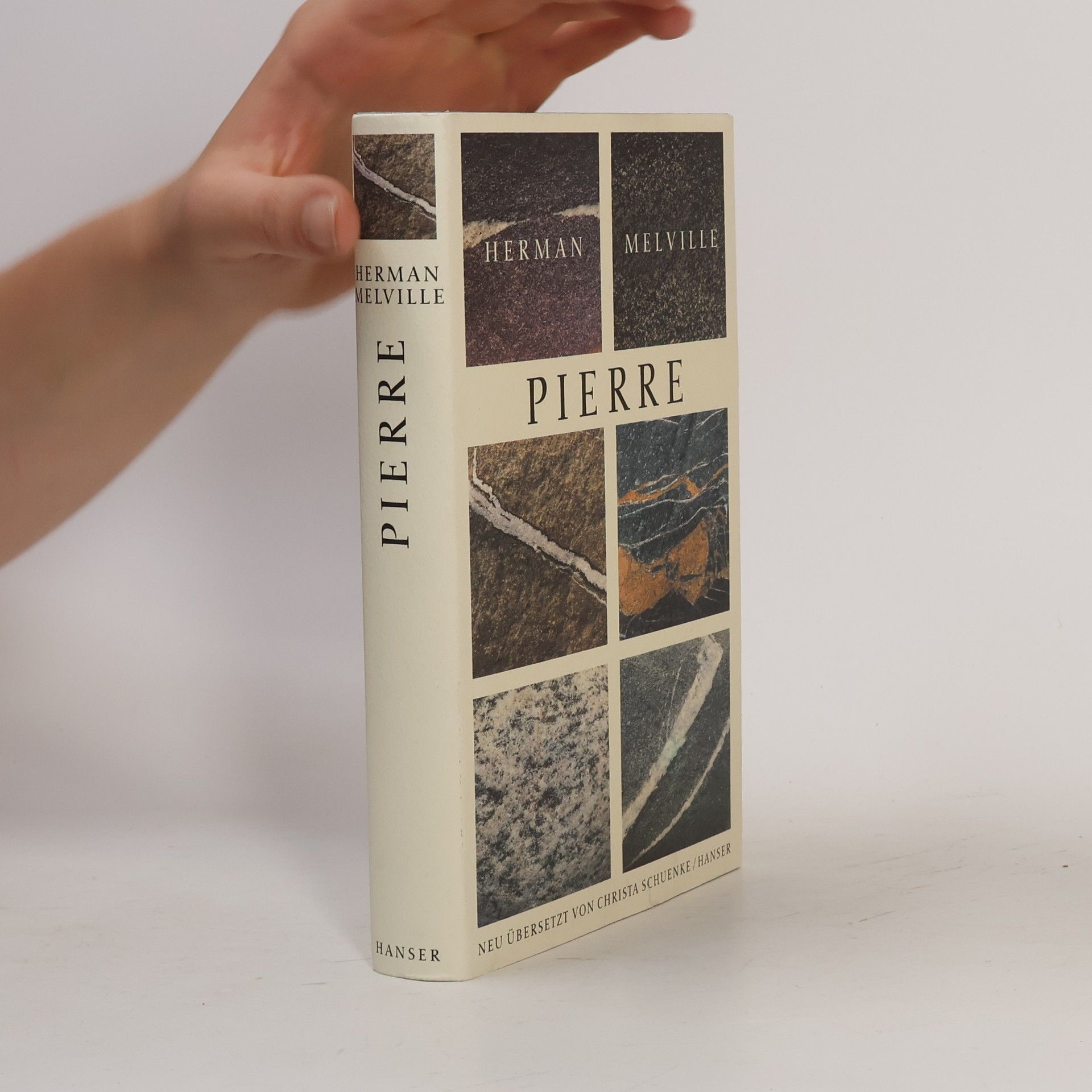 Herman Melville Pierre oder Die Doppeldeutigkeiten