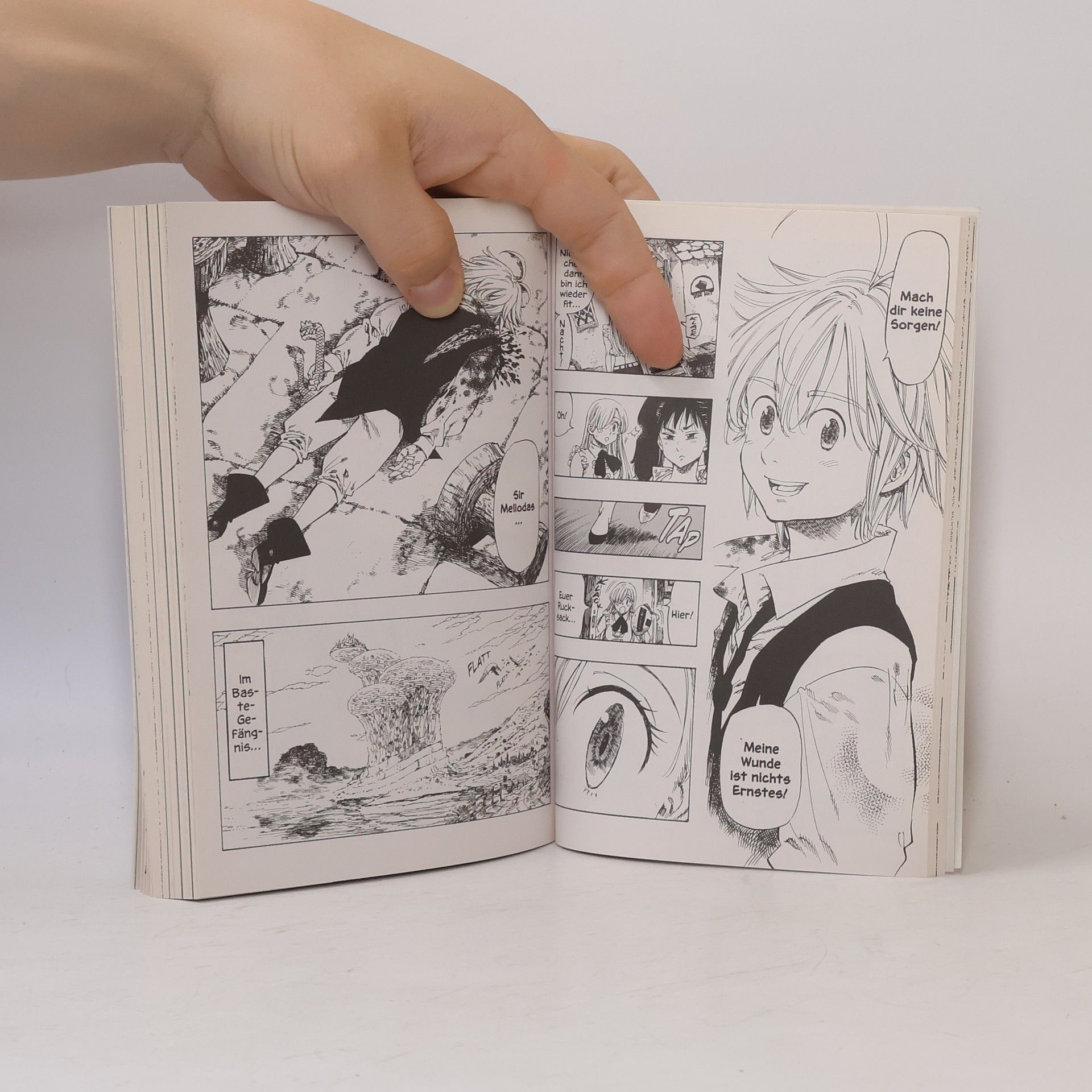 Nakaba Suzuki Seven Deadly Sins 2