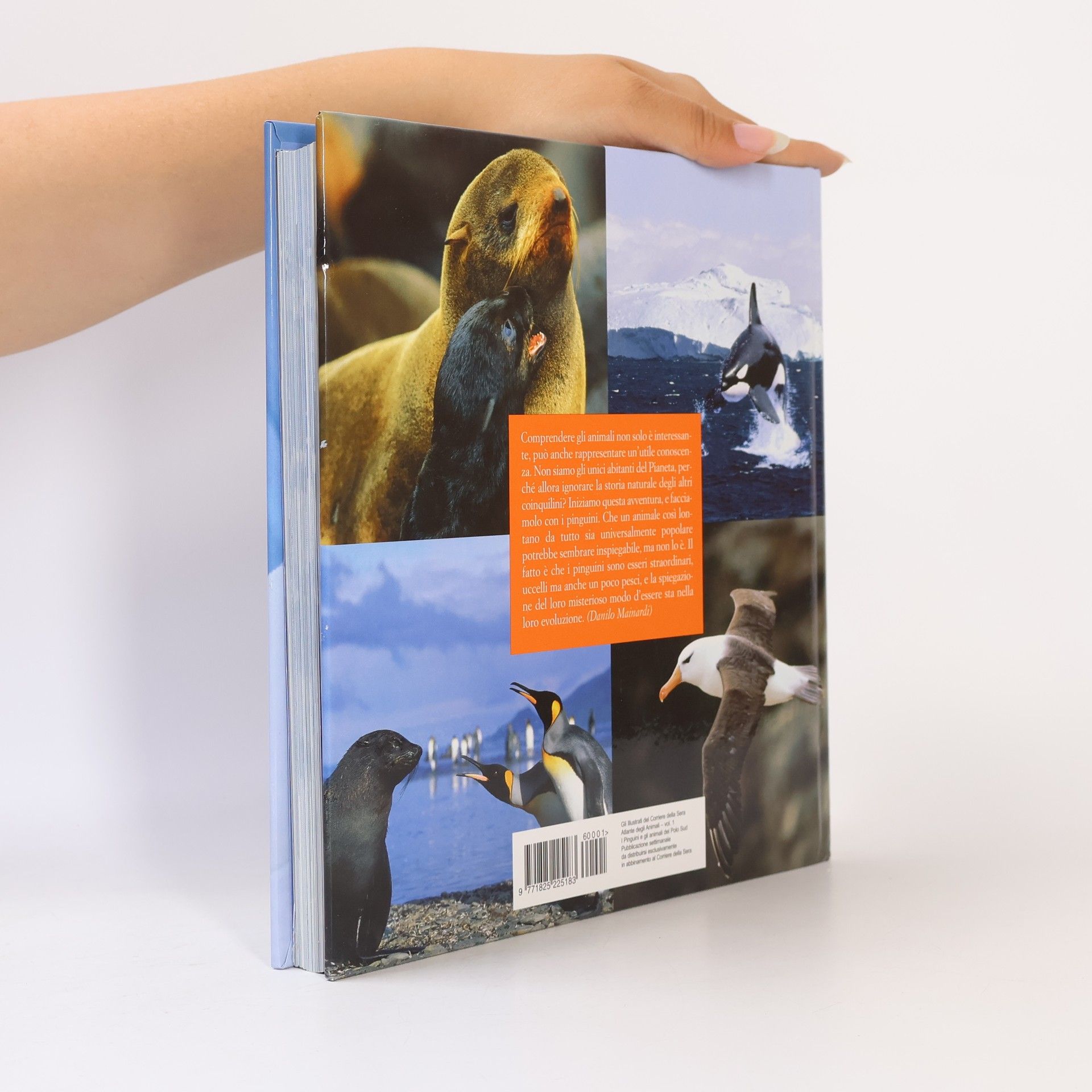 Autorenkollektiv I pinguini e gli animali del polo sud