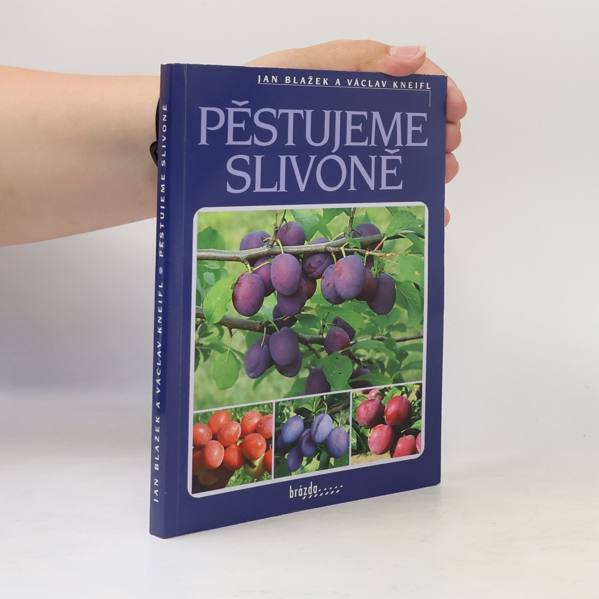 Václav Kneifl Pěstujeme slivoně