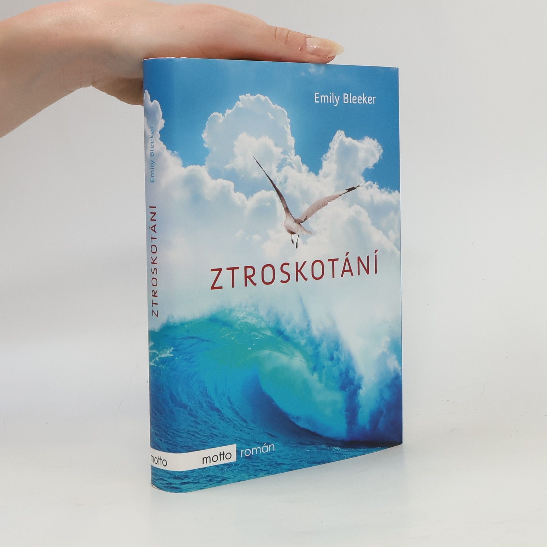 Emily Bleeker Ztroskotání