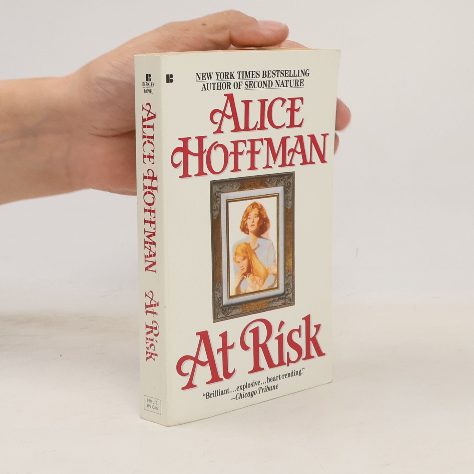 Alice Hoffman At Risk