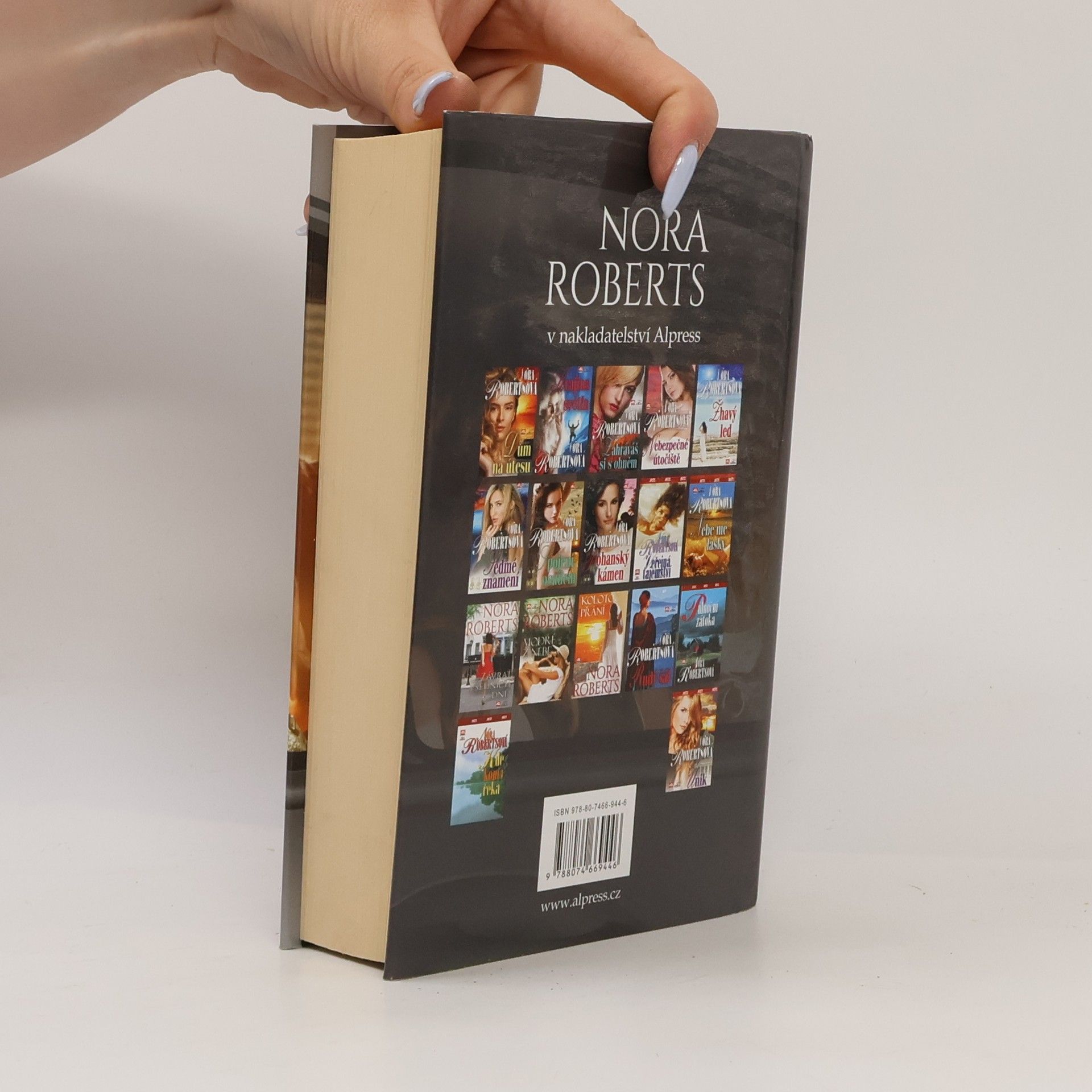 Nora Roberts Kdo chce víc