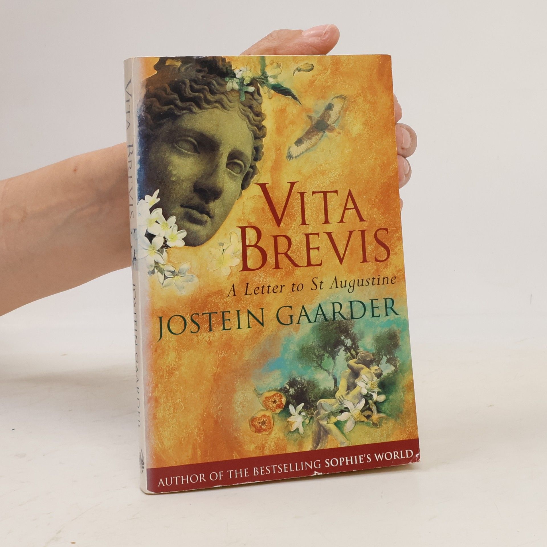 Jostein Gaarder Vita brevis: a letter to St Augustine
