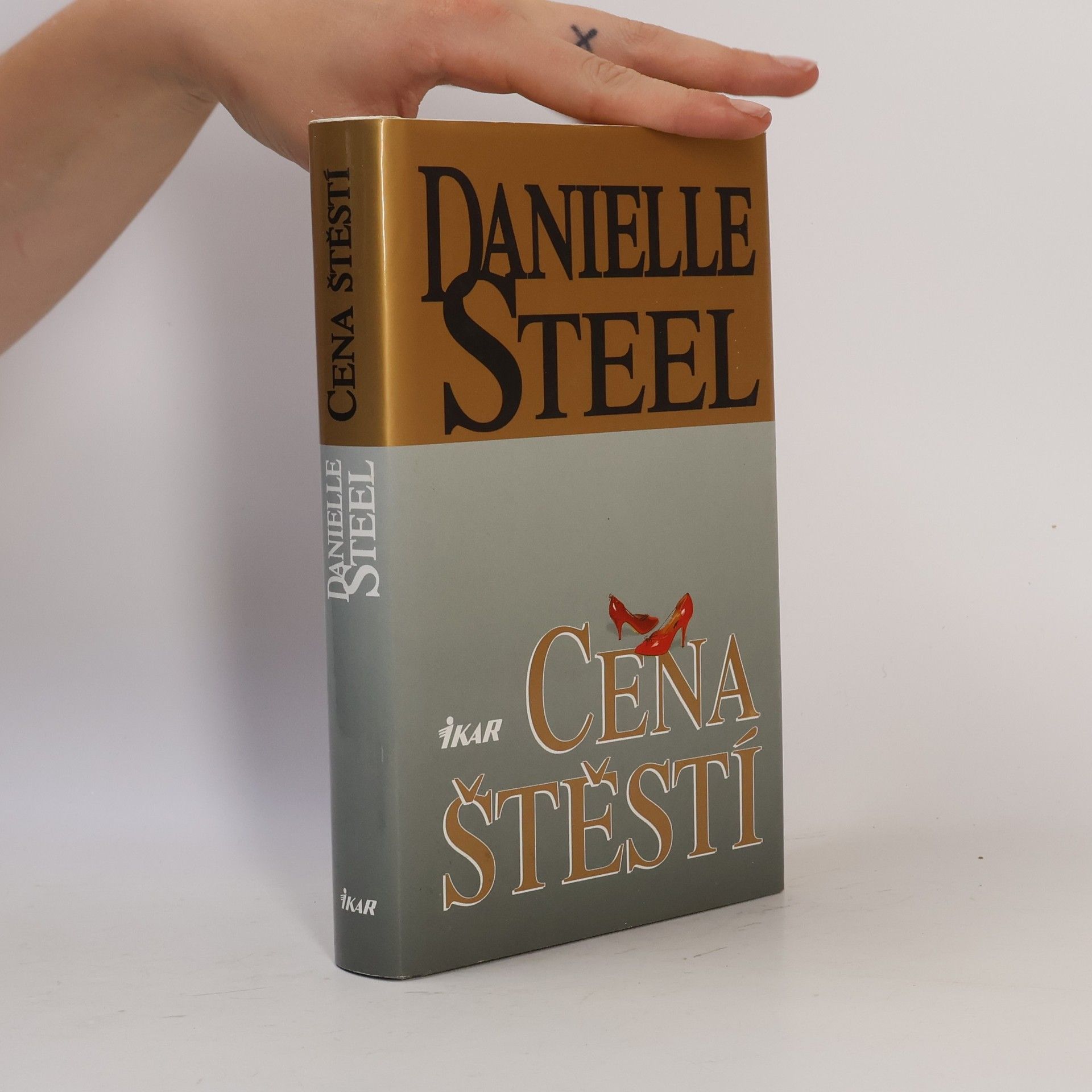 Danielle Steel Cena štěstí