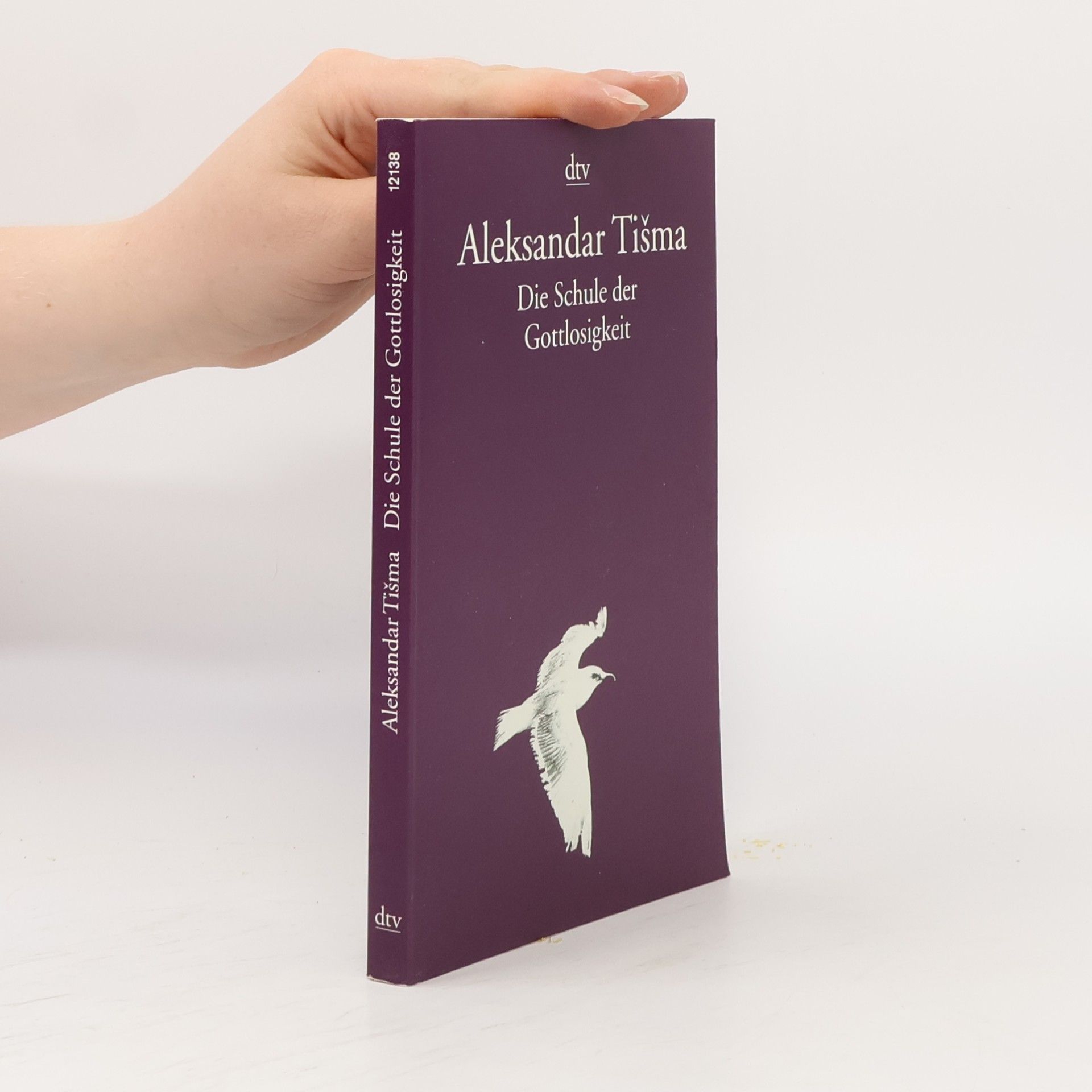 Aleksandar Tišma Die Schule der Gottlosigkeit