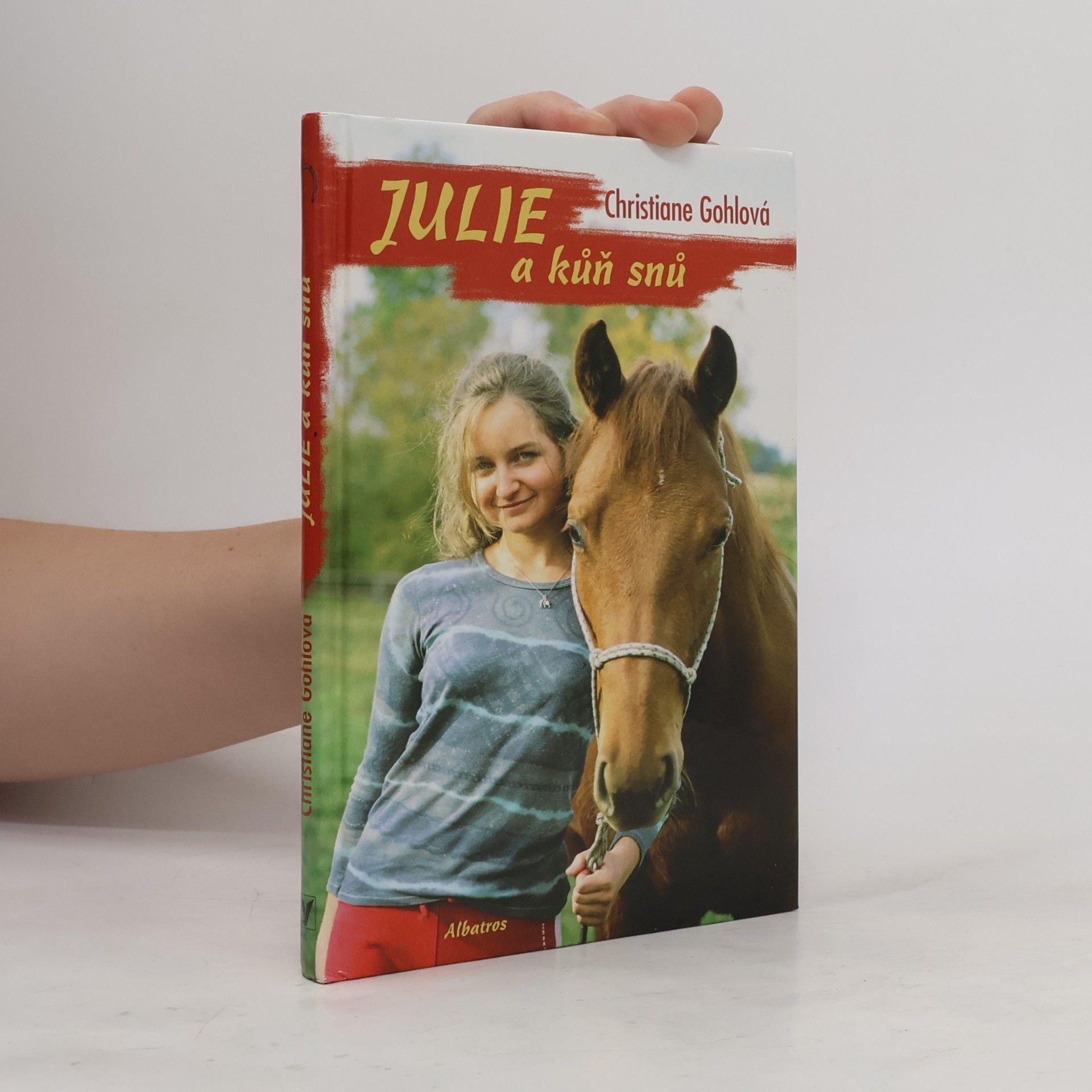 Christiane Gohl Julie a kůň snů